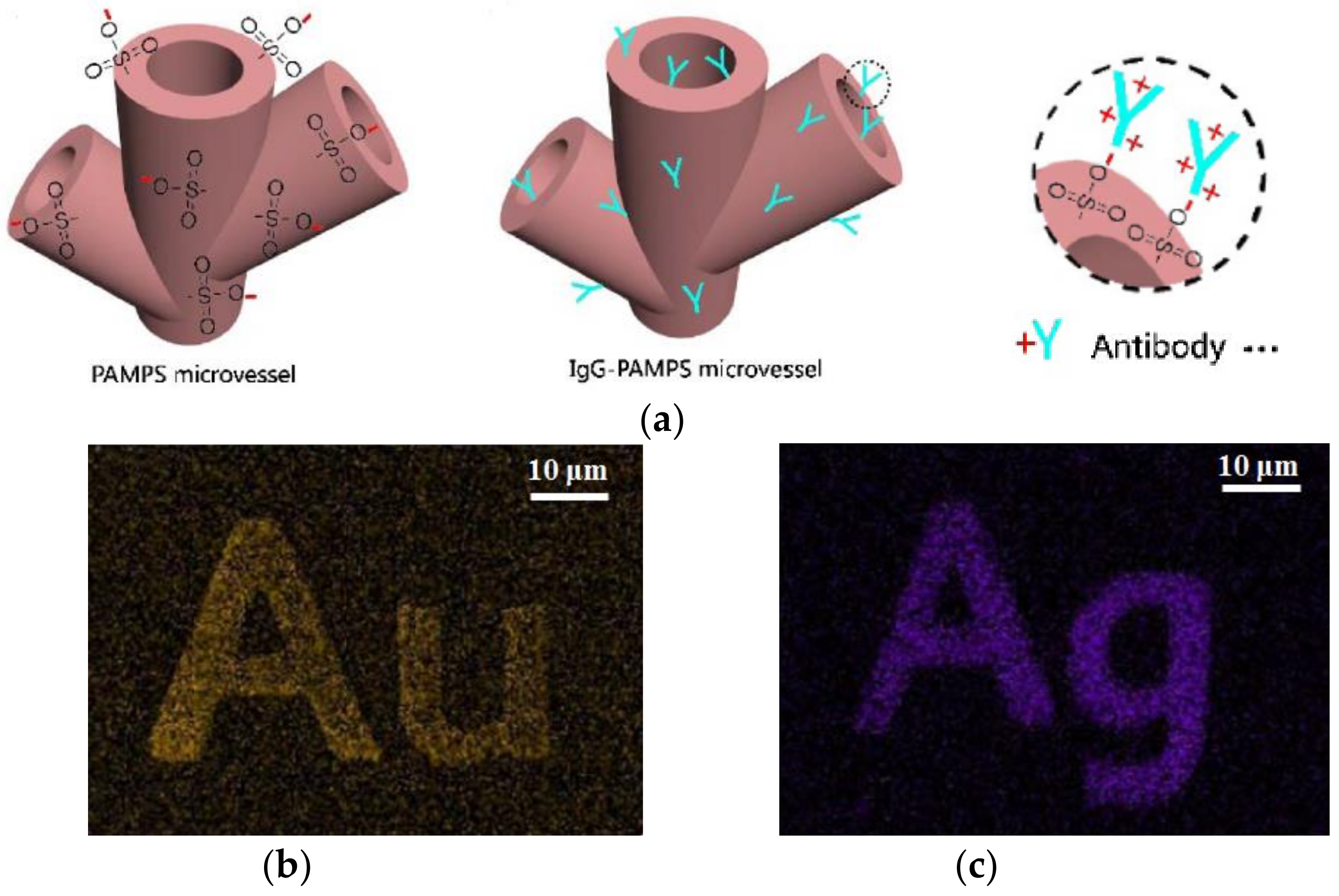 Laser device essay picture