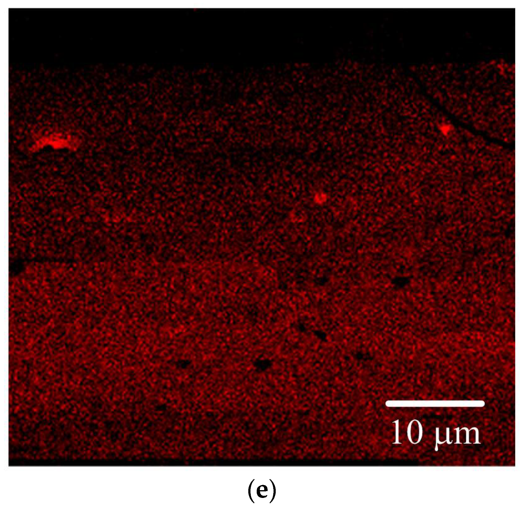 Polymers 11 00558 g006b