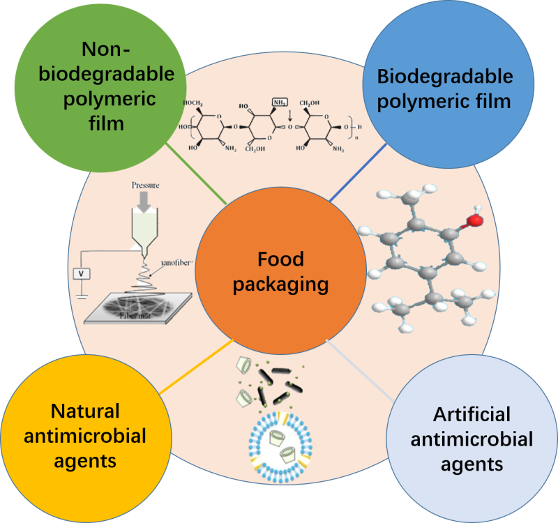 Polymers Free FullText Polymeric Antimicrobial Food Packaging and