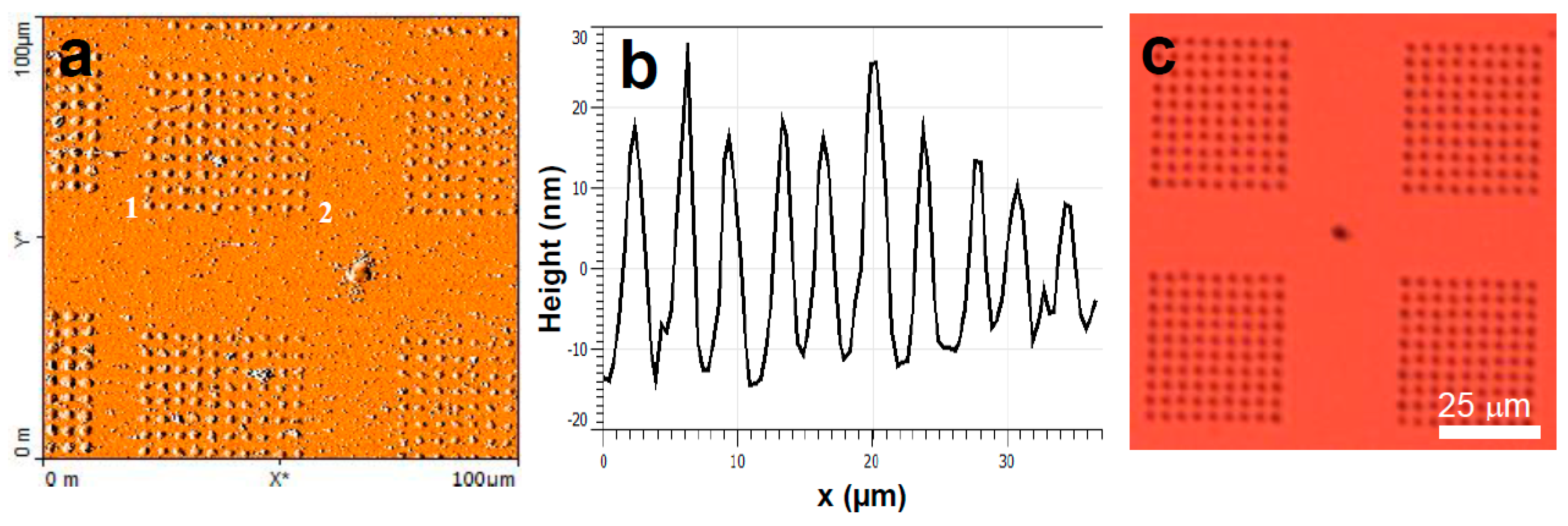 Polymers 11 00561 g002