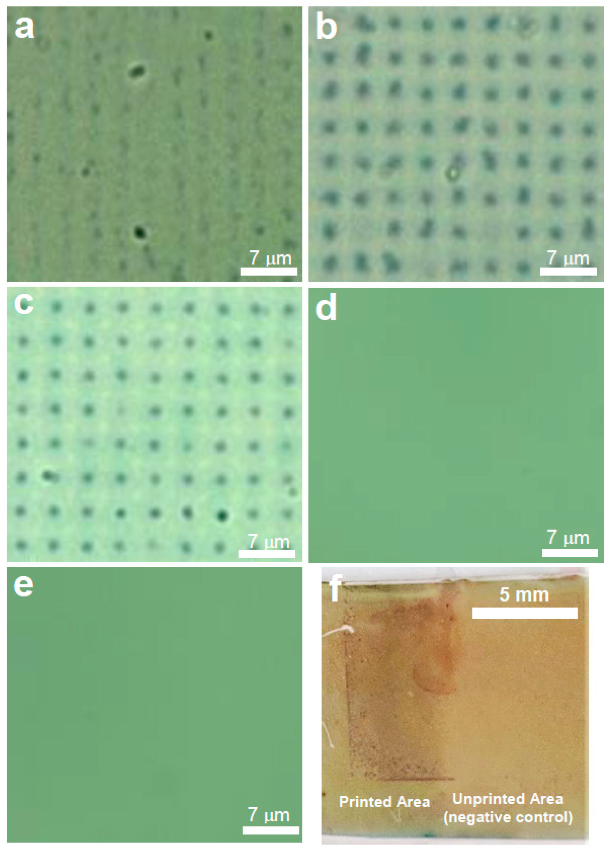 Polymers 11 00561 g003