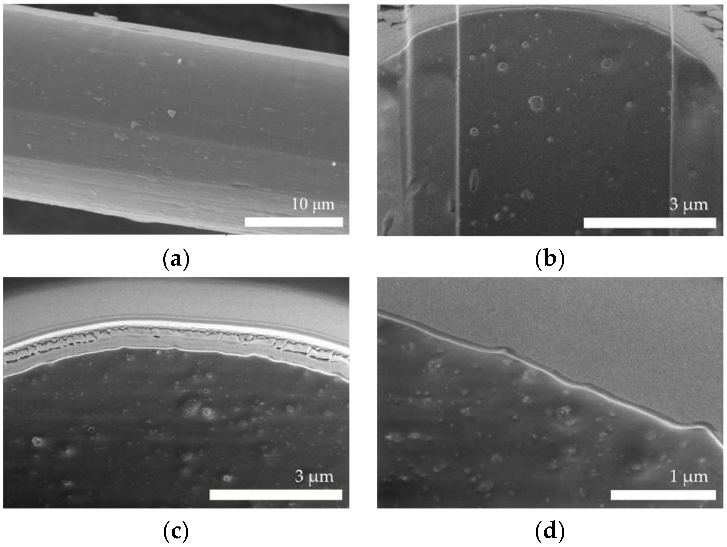 Polymers 11 00562 g002