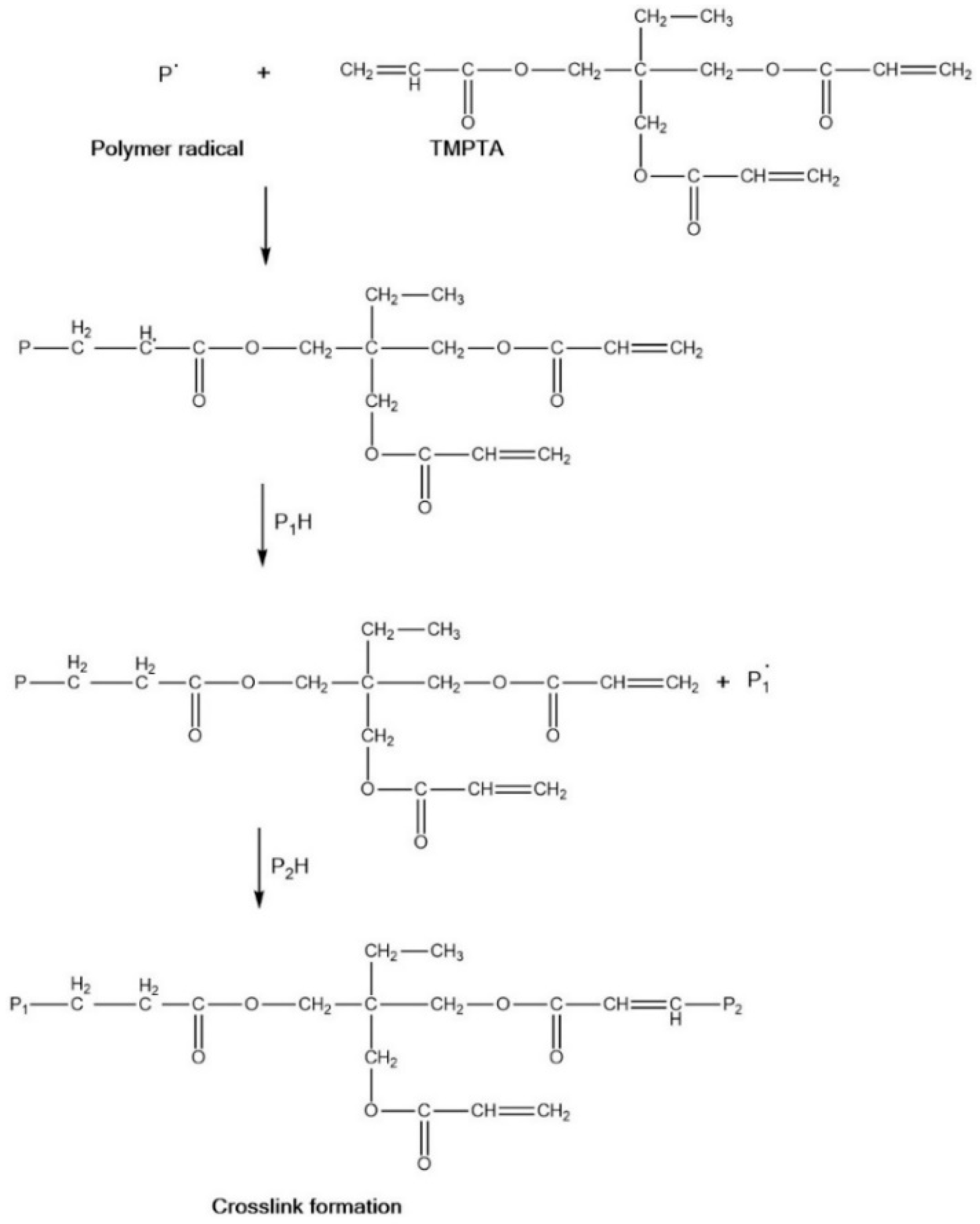 Polymers 11 00565 g001