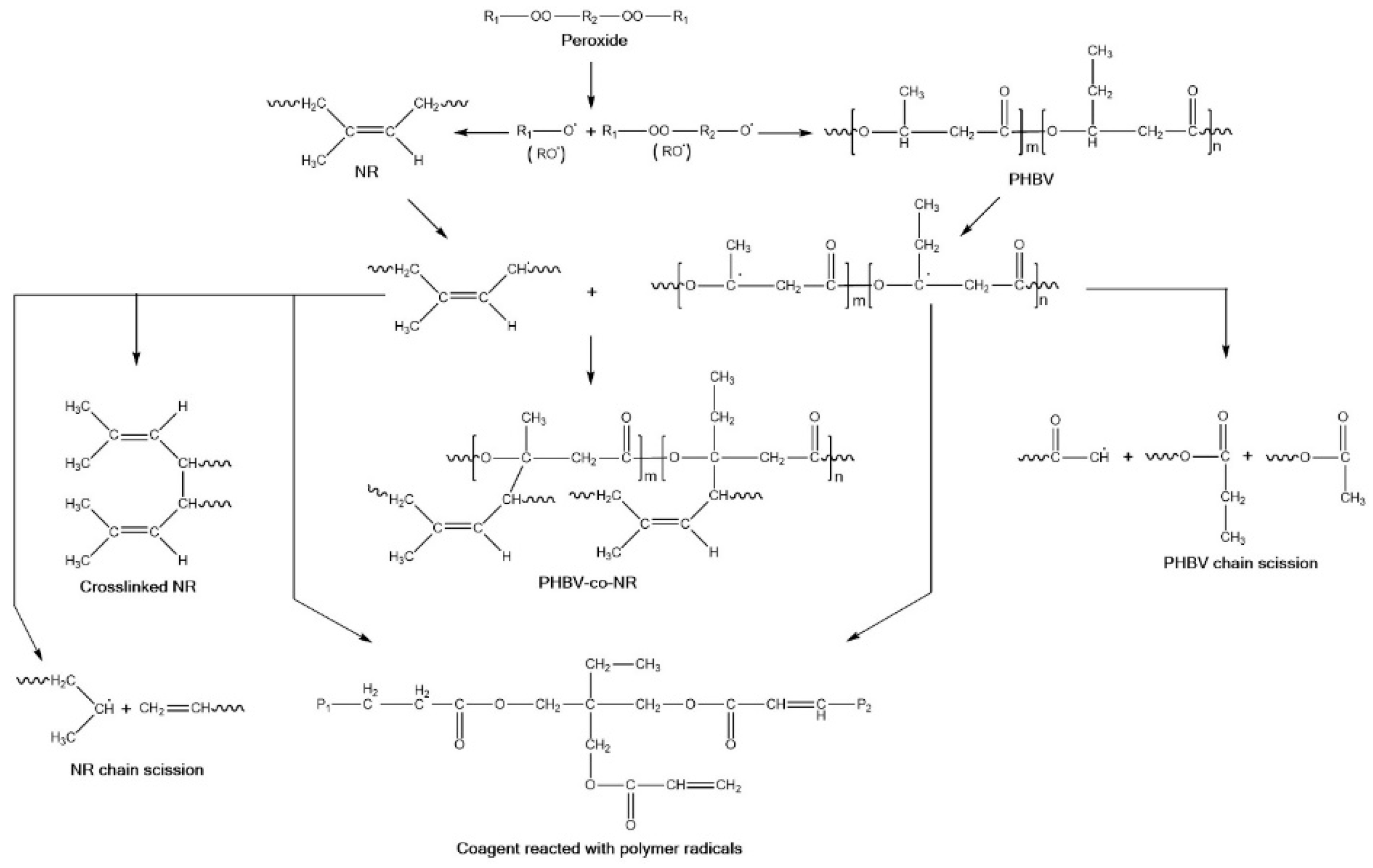 Polymers 11 00565 g008