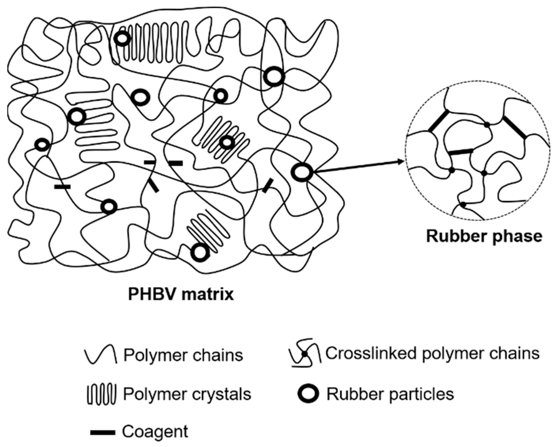 Polymers 11 00565 g011