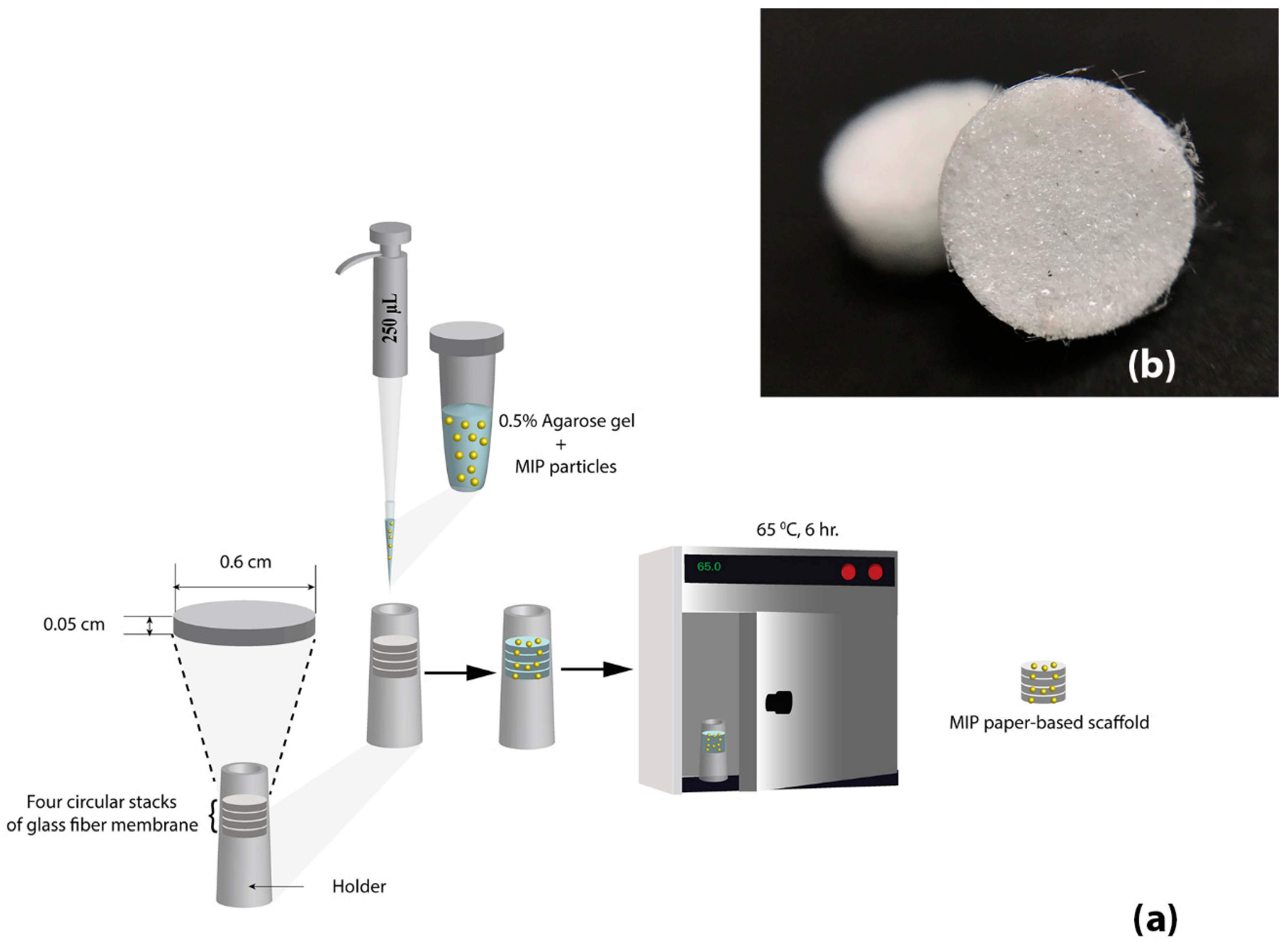 Polymers 11 00570 g001 550