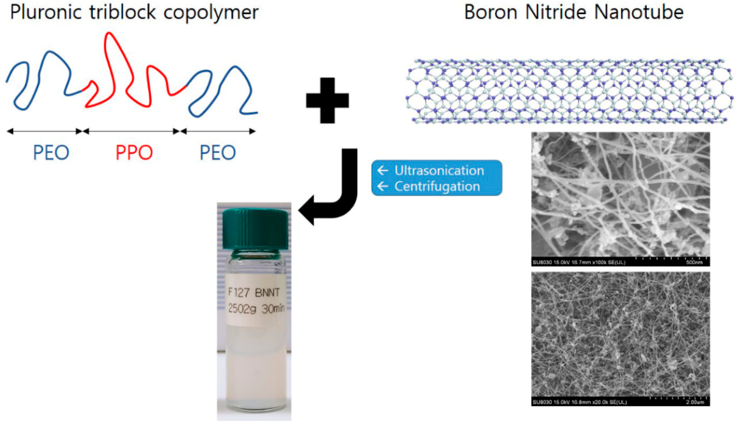 Polymers 11 00582 g001