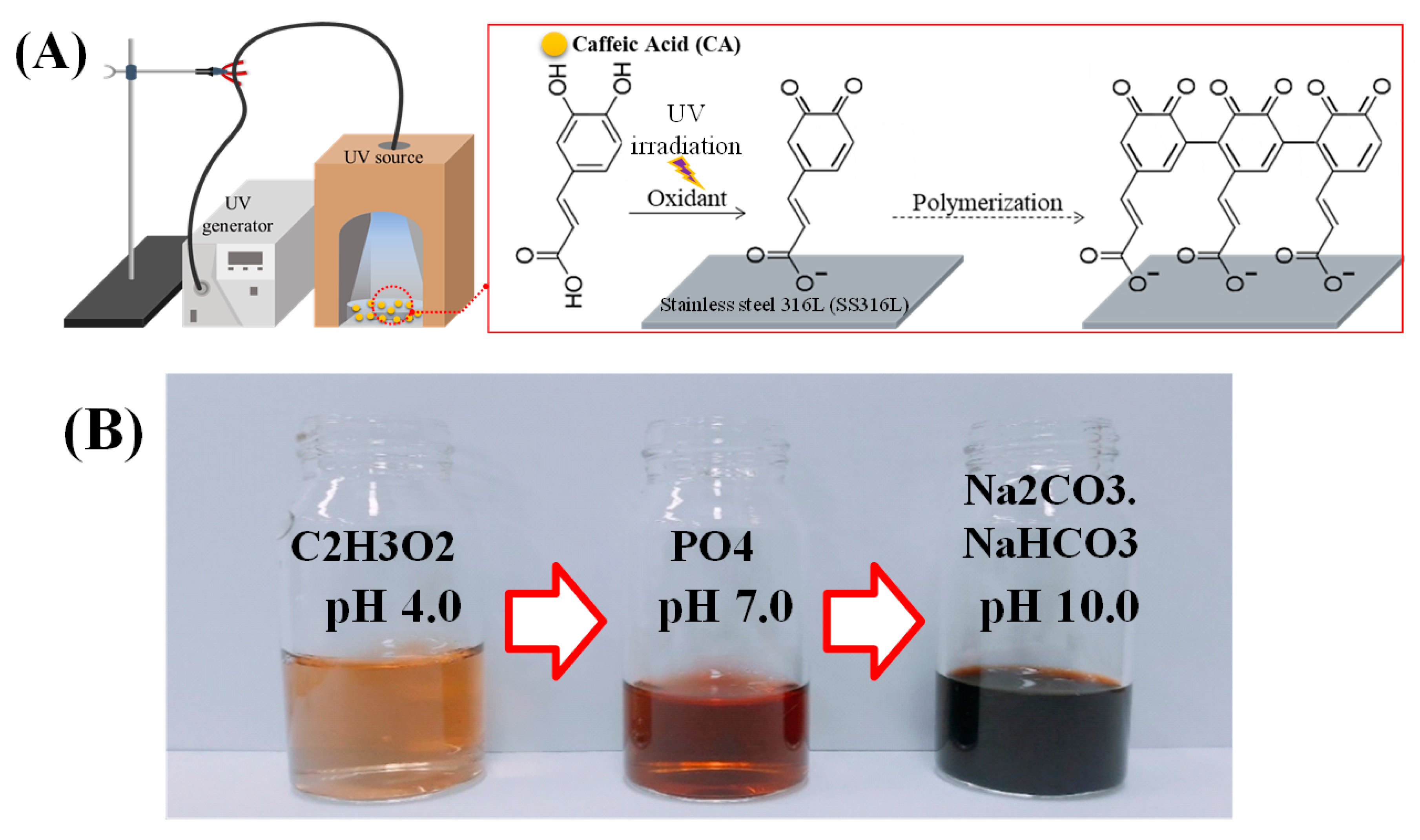 Polymers 11 00584 g001 550