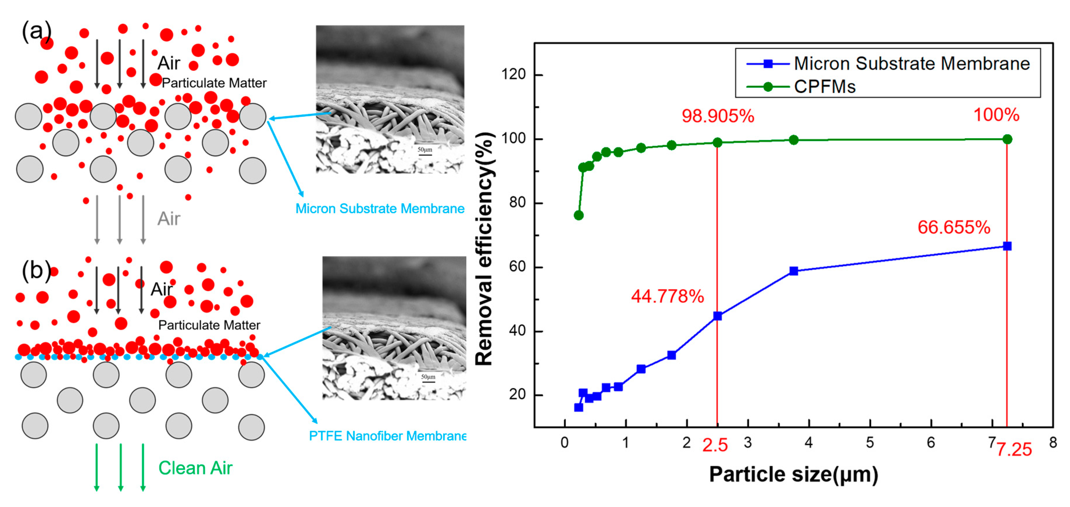 Polymers 11 00590 g009 Polymers 11 00590 g009