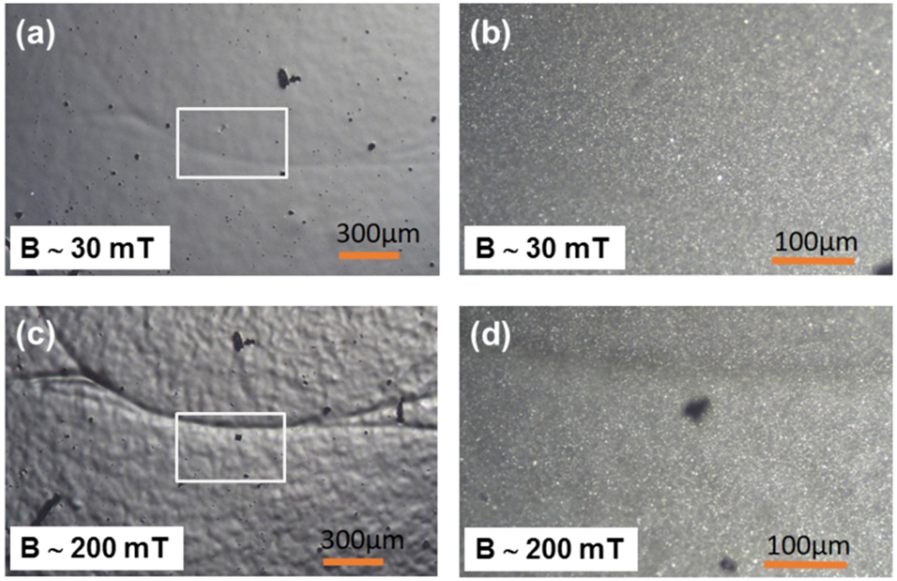 Polymers 11 00594 g003