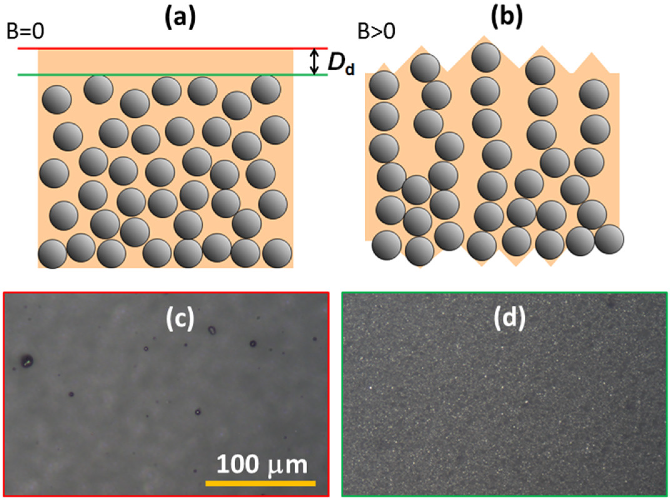 Polymers 11 00594 g009