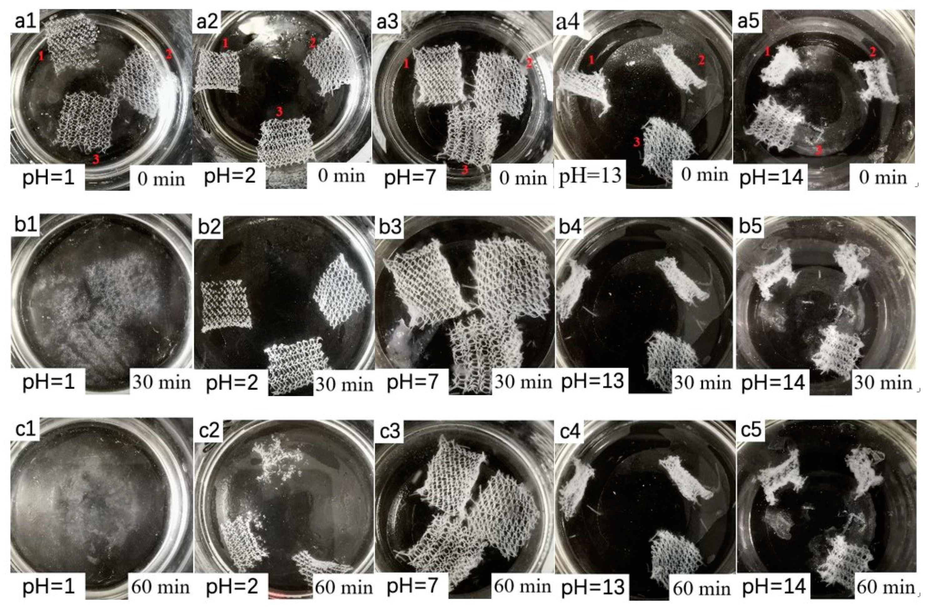 Polymers 11 00595 g006
