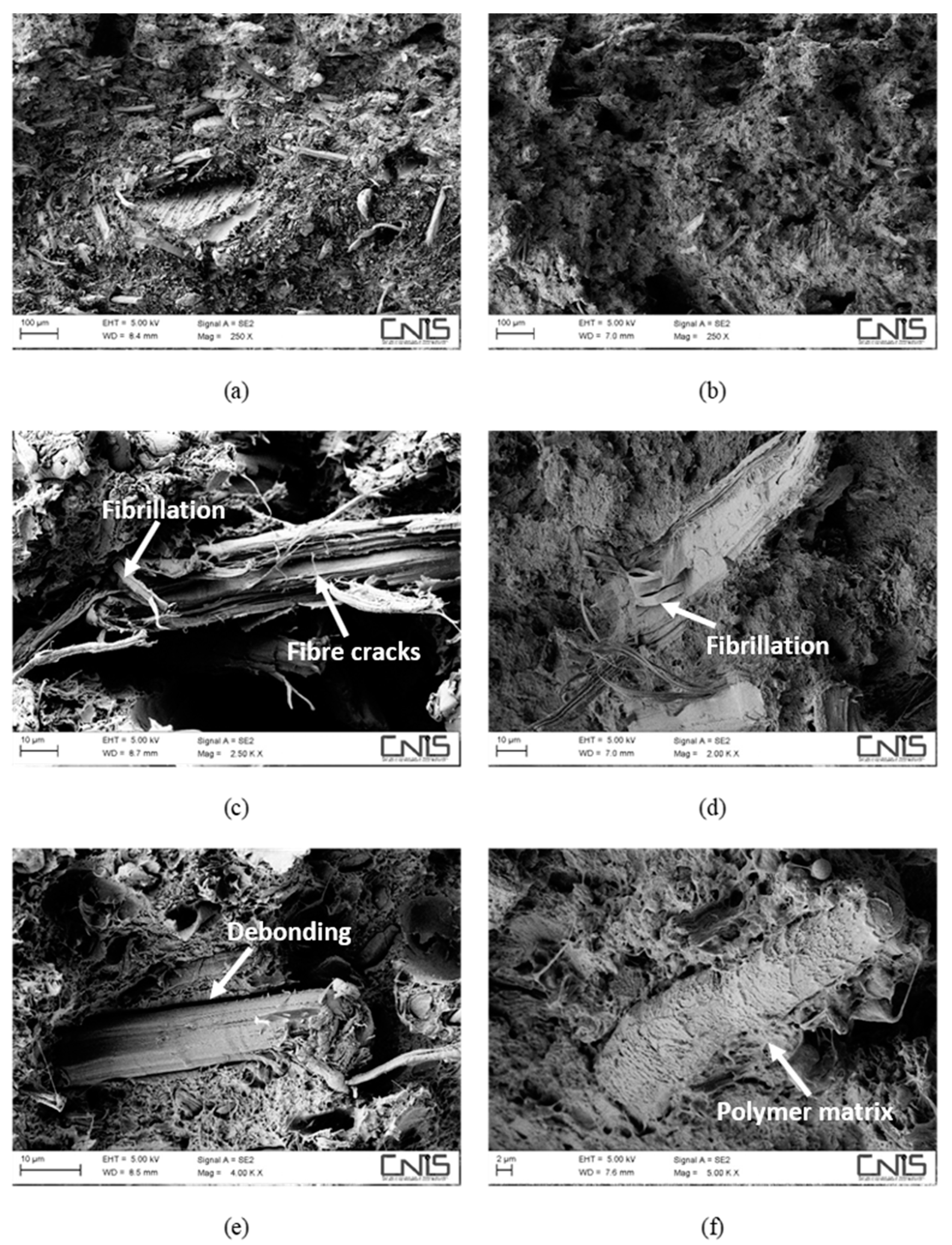 Polymers 11 00603 g003