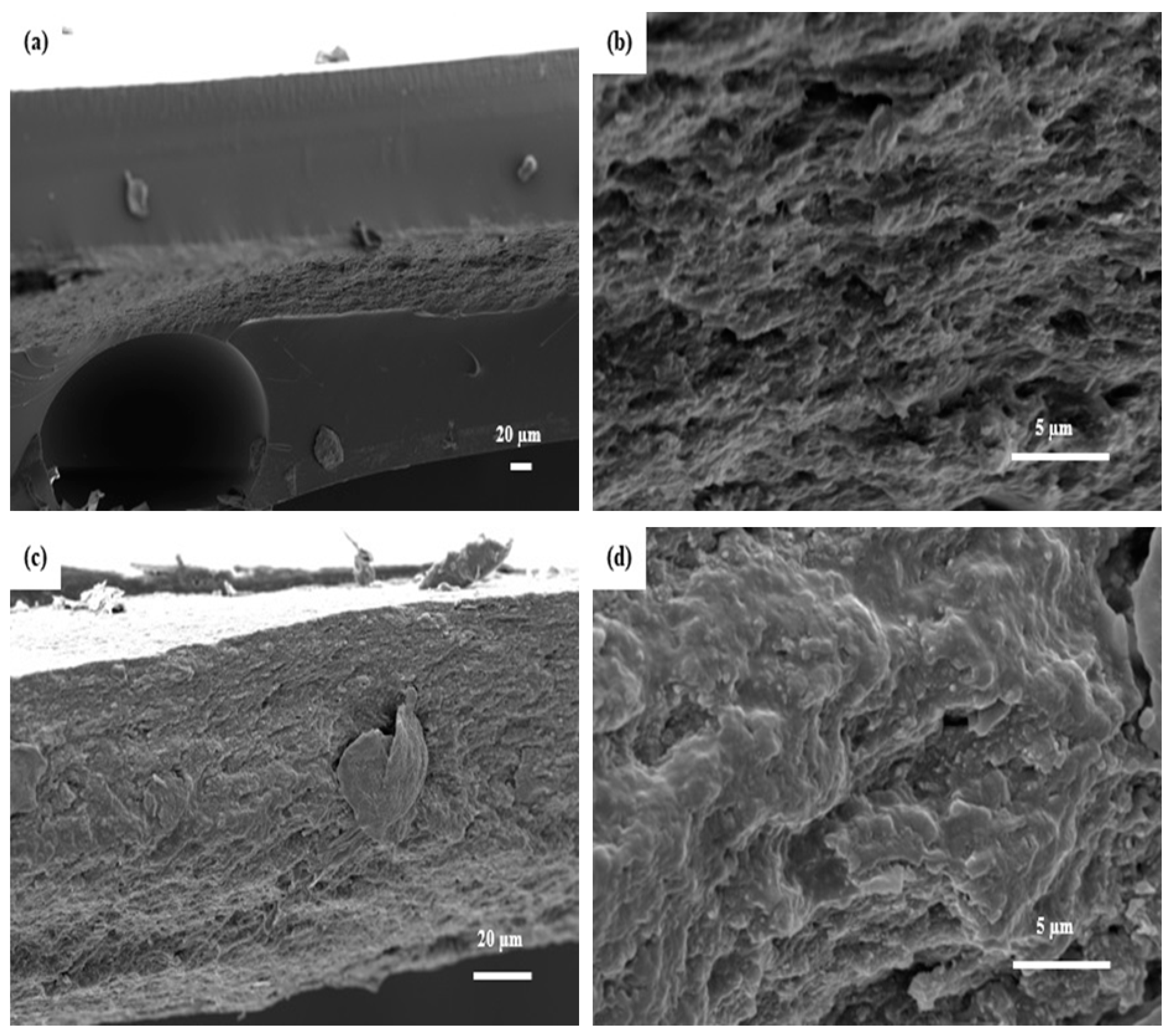 Polymers 11 00612 g002