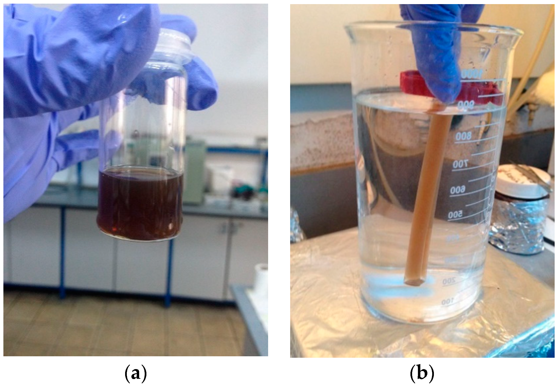Polymers 11 00613 g005 550