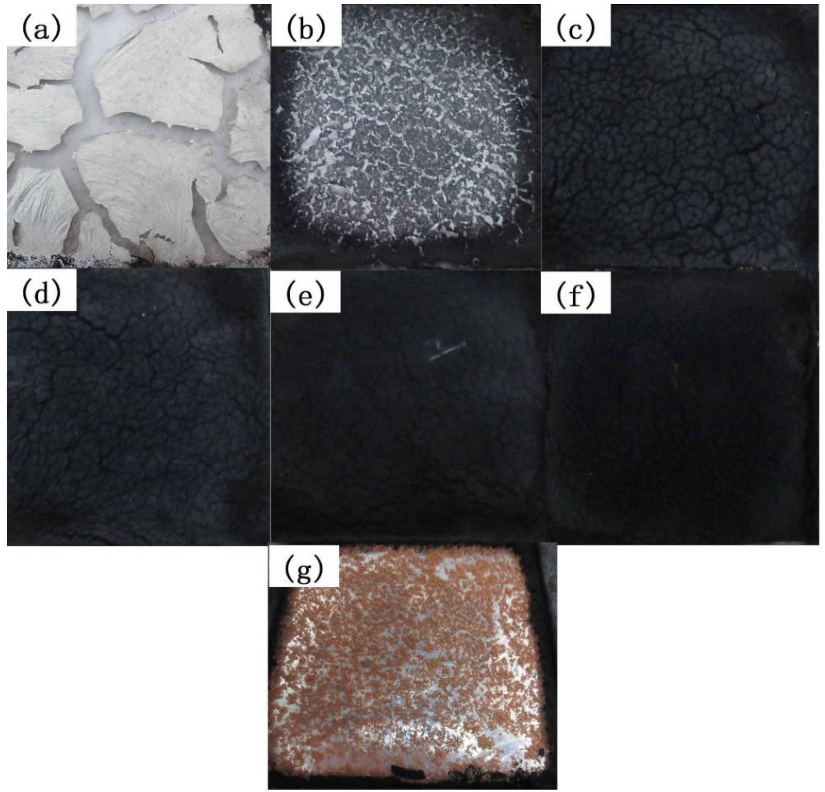 Polymers 11 00615 g008