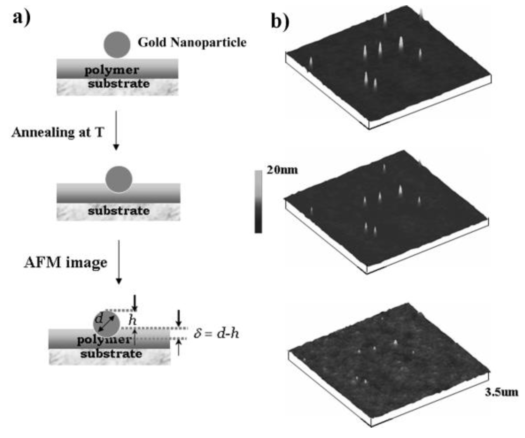Polymers 11 00617 g003 550