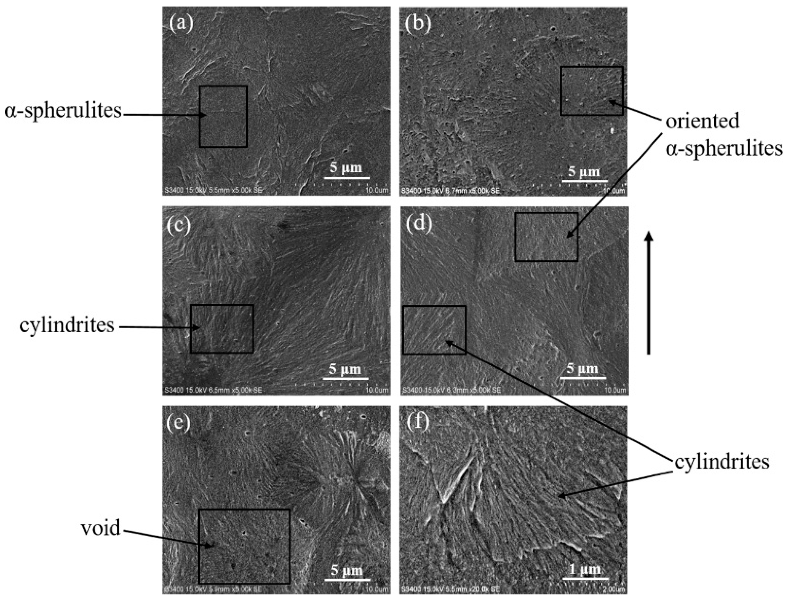 Polymers 11 00618 g006