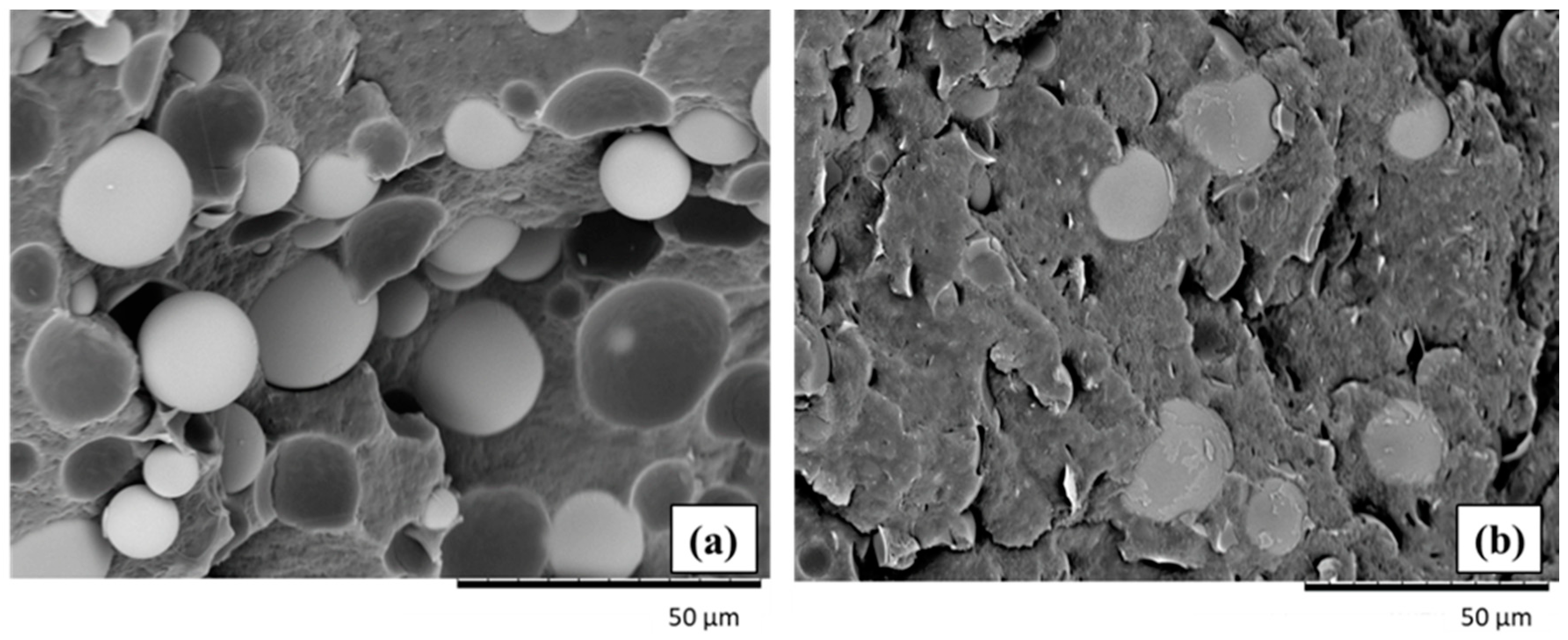 Polymers 11 00624 g005
