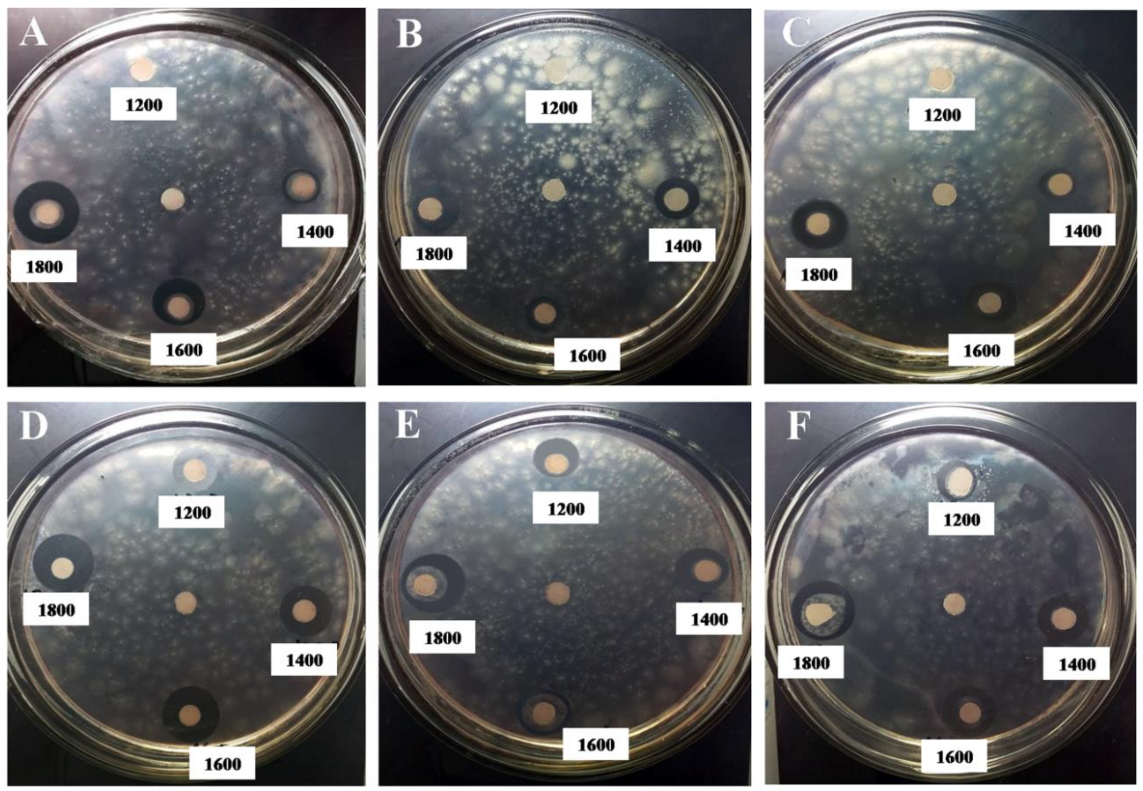 Polymers 11 00628 g005 550