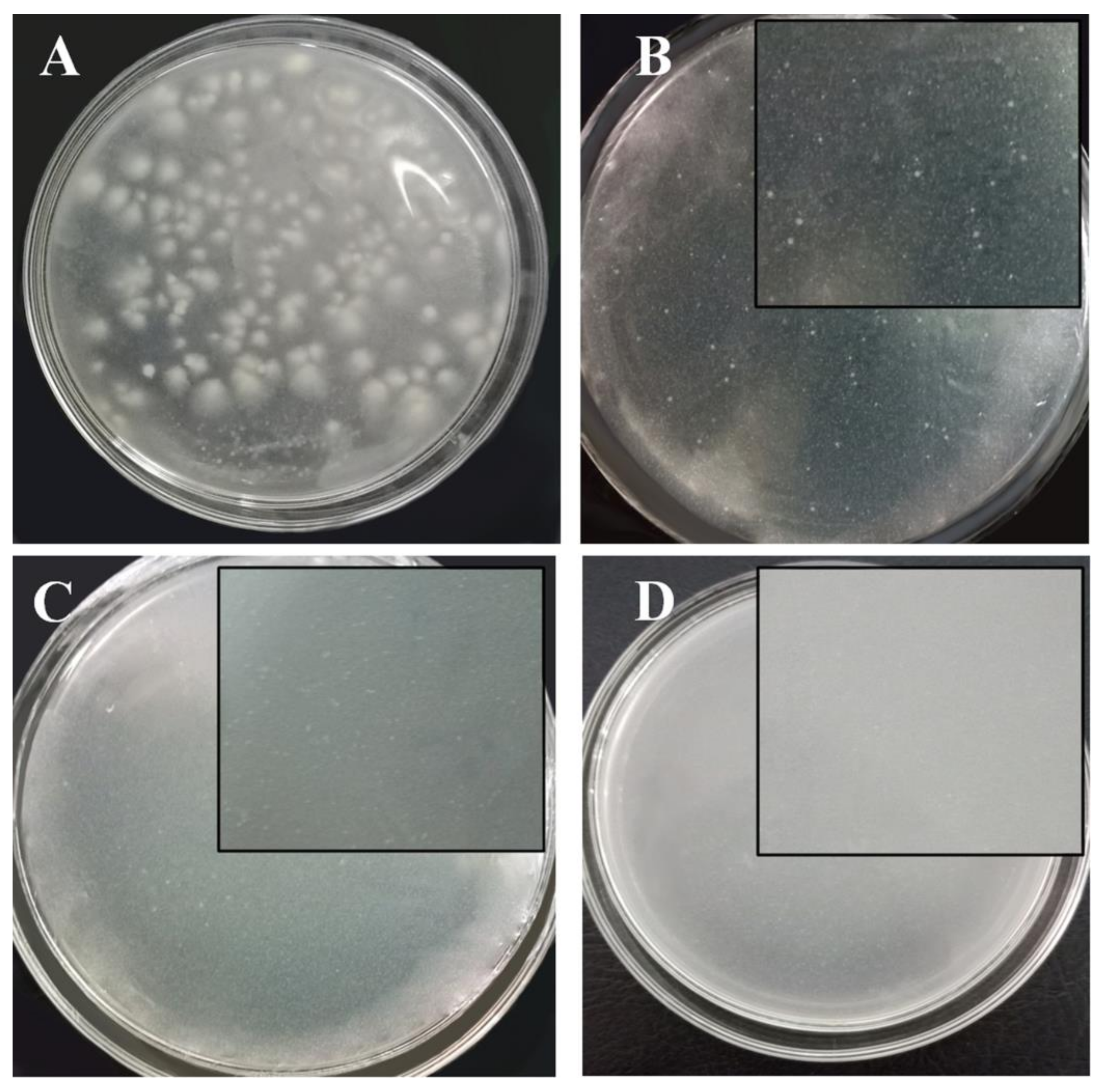 Polymers 11 00628 g007 550