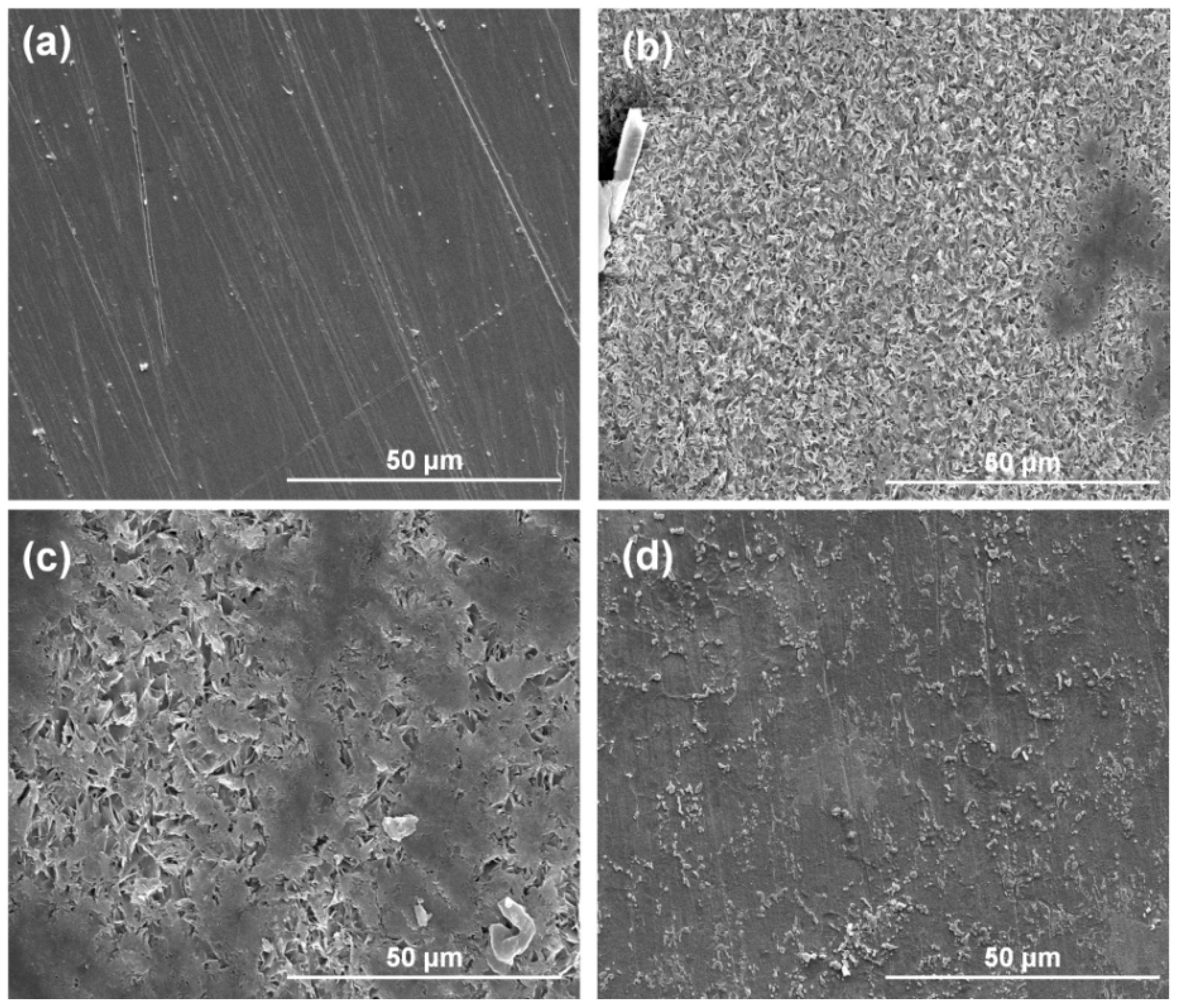 Polymers 11 00635 g008