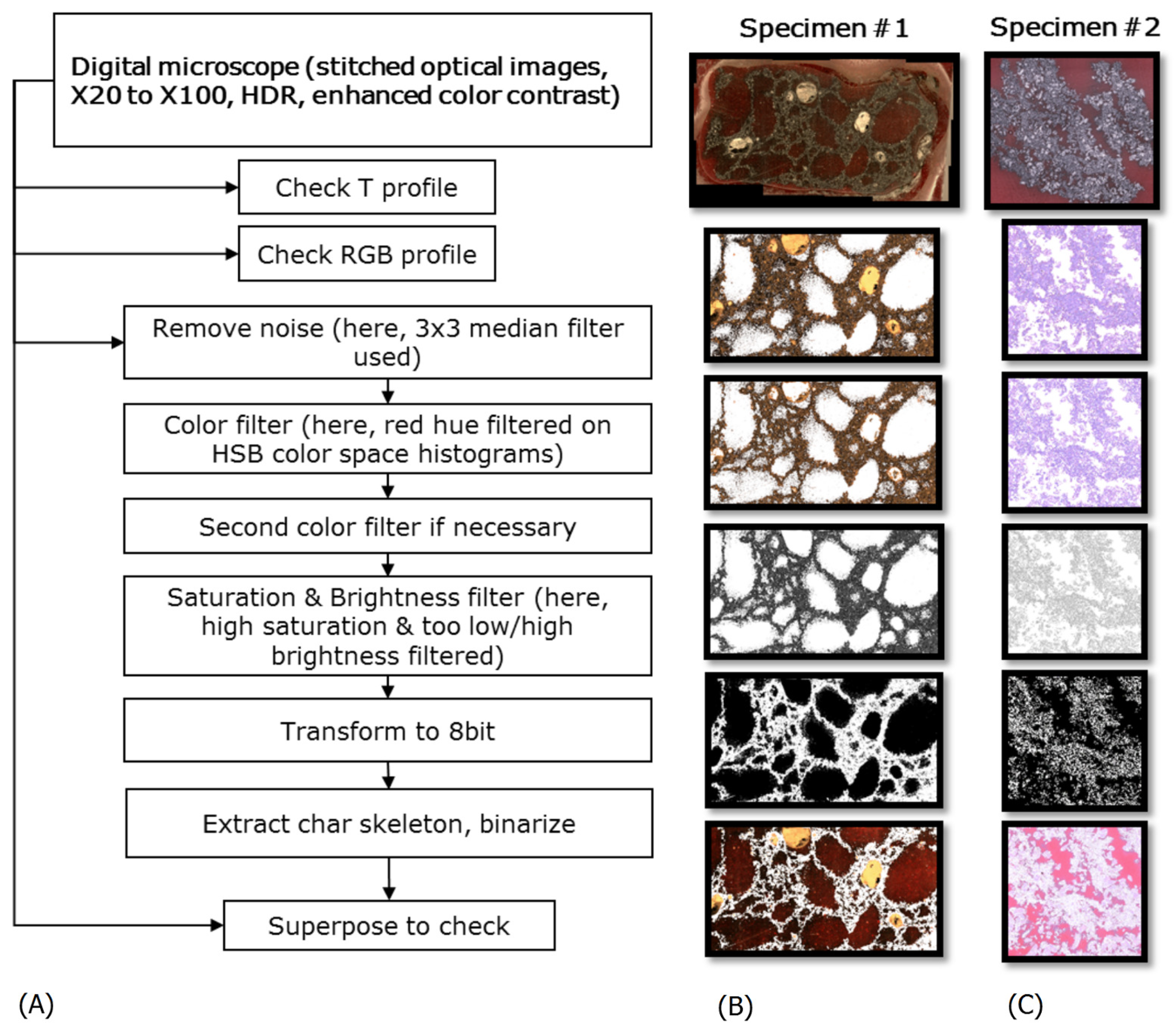Polymers 11 00640 g002