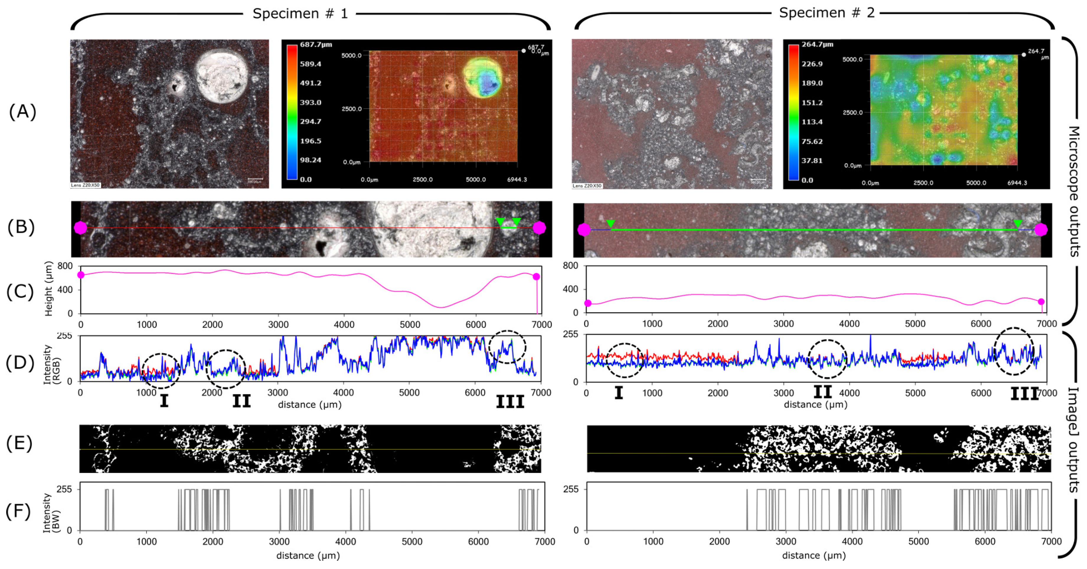 Polymers 11 00640 g003