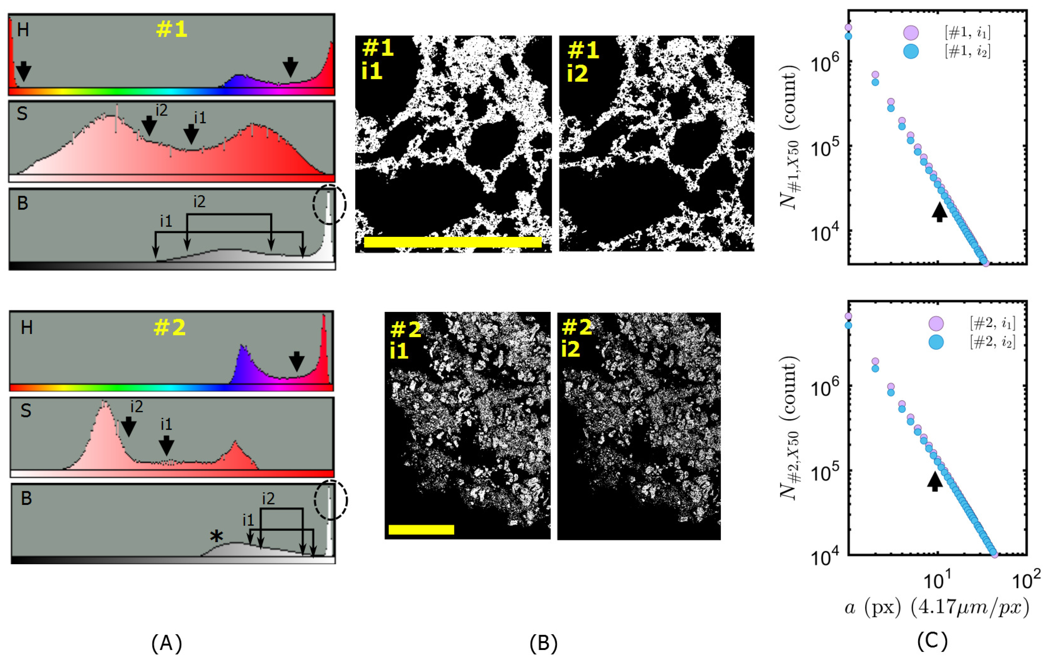 Polymers 11 00640 g006