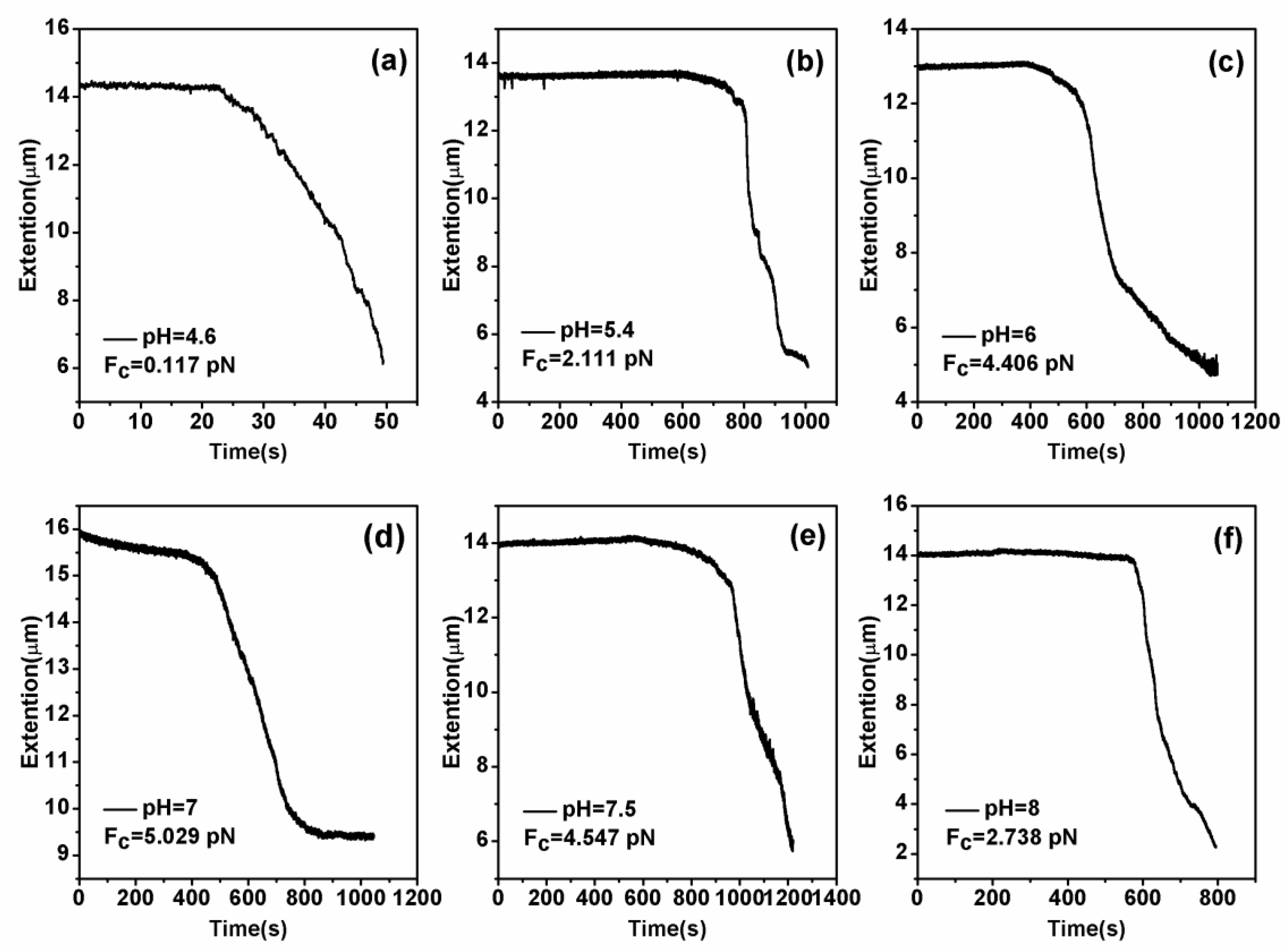 Polymers 11 00646 g006