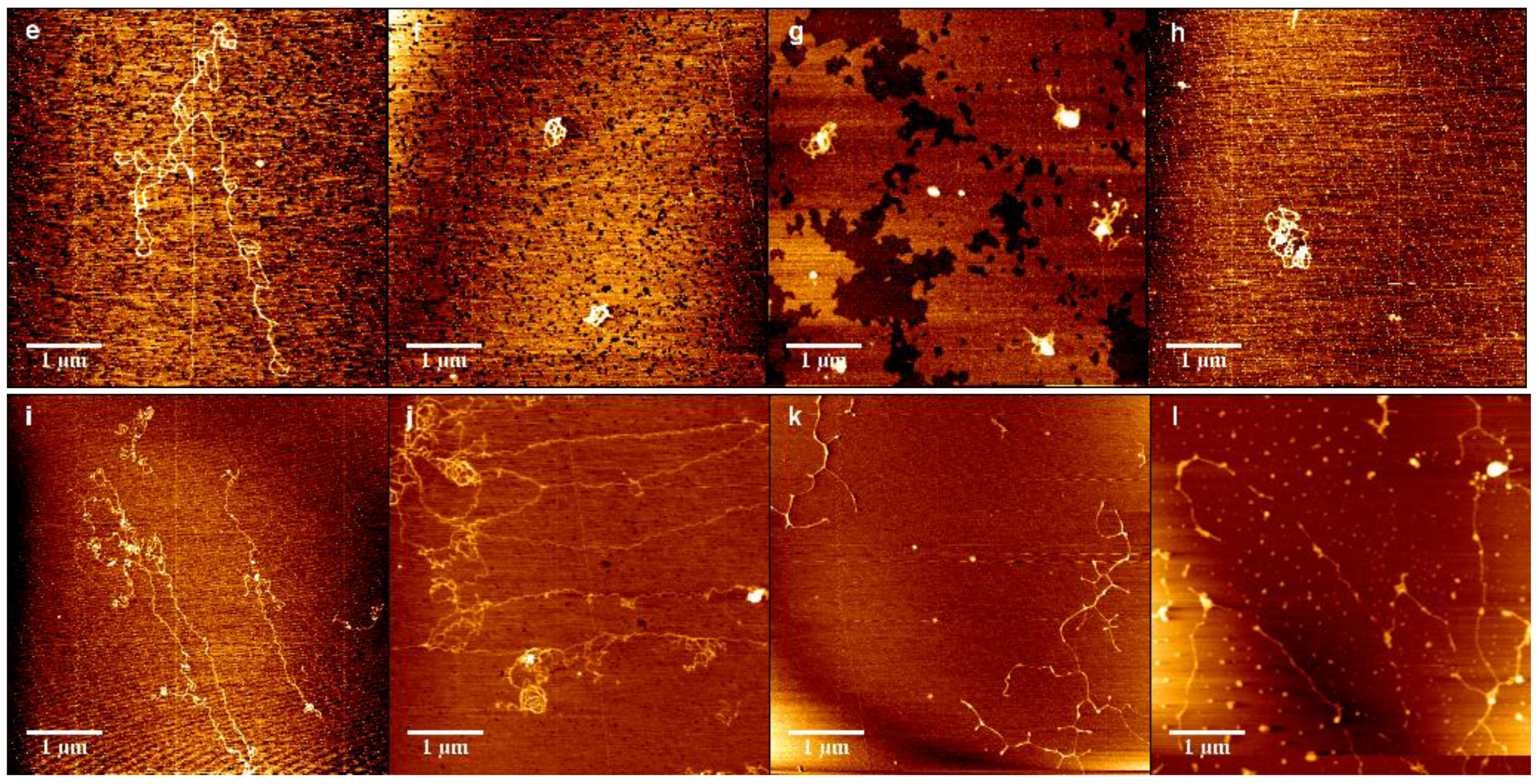 Polymers 11 00646 g008b