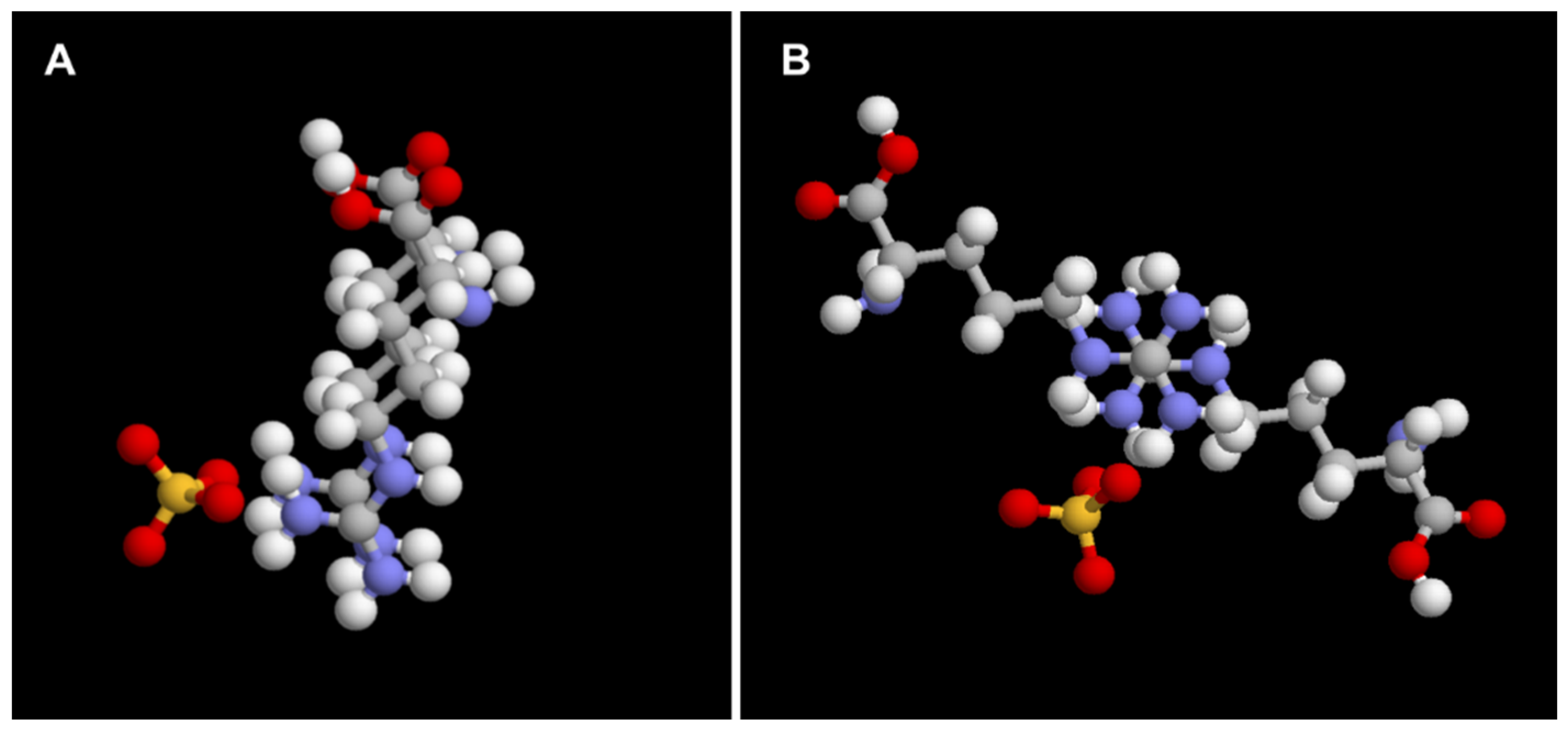 Polymers 11 00649 g006 550