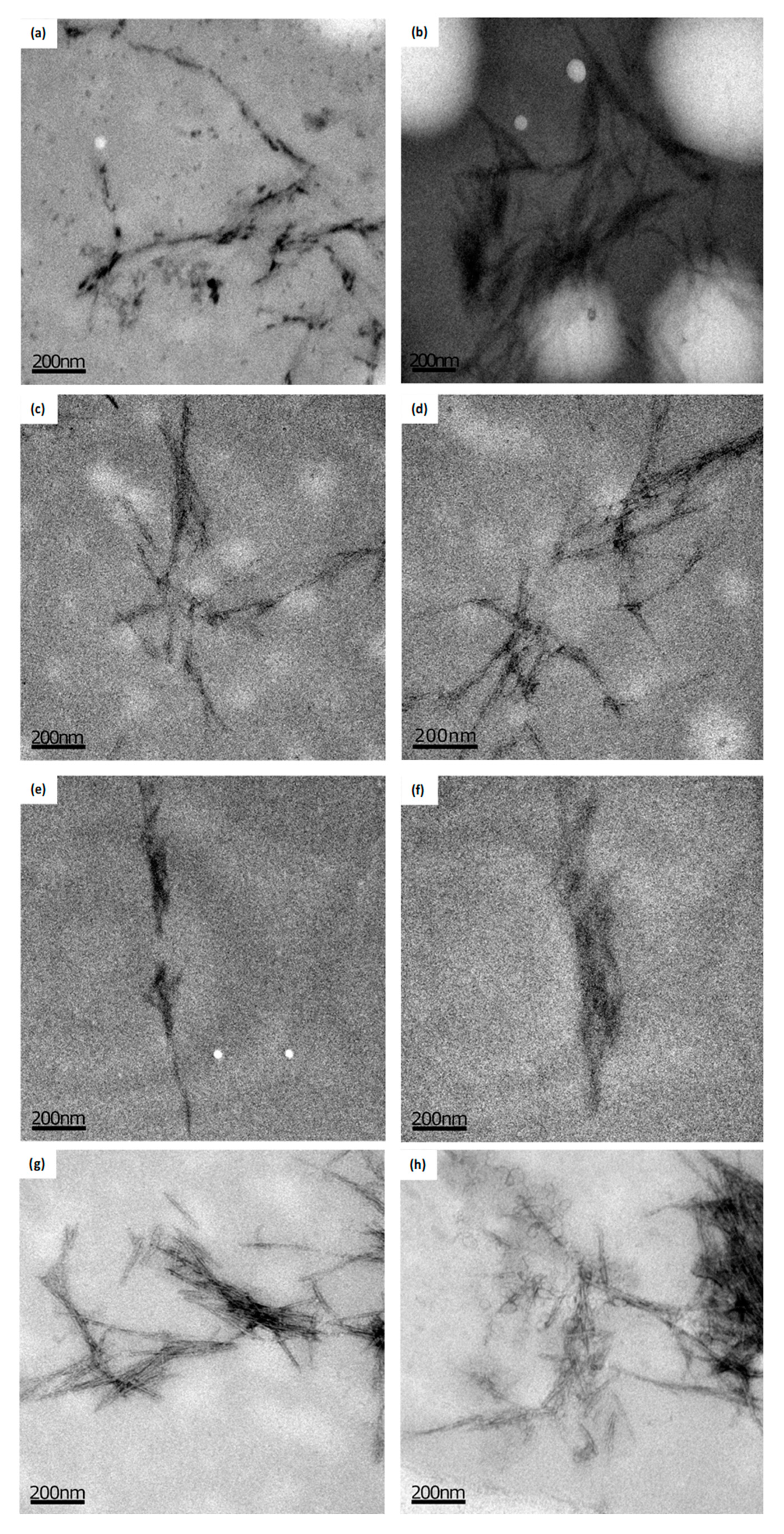 Polymers 11 00658 g003 550