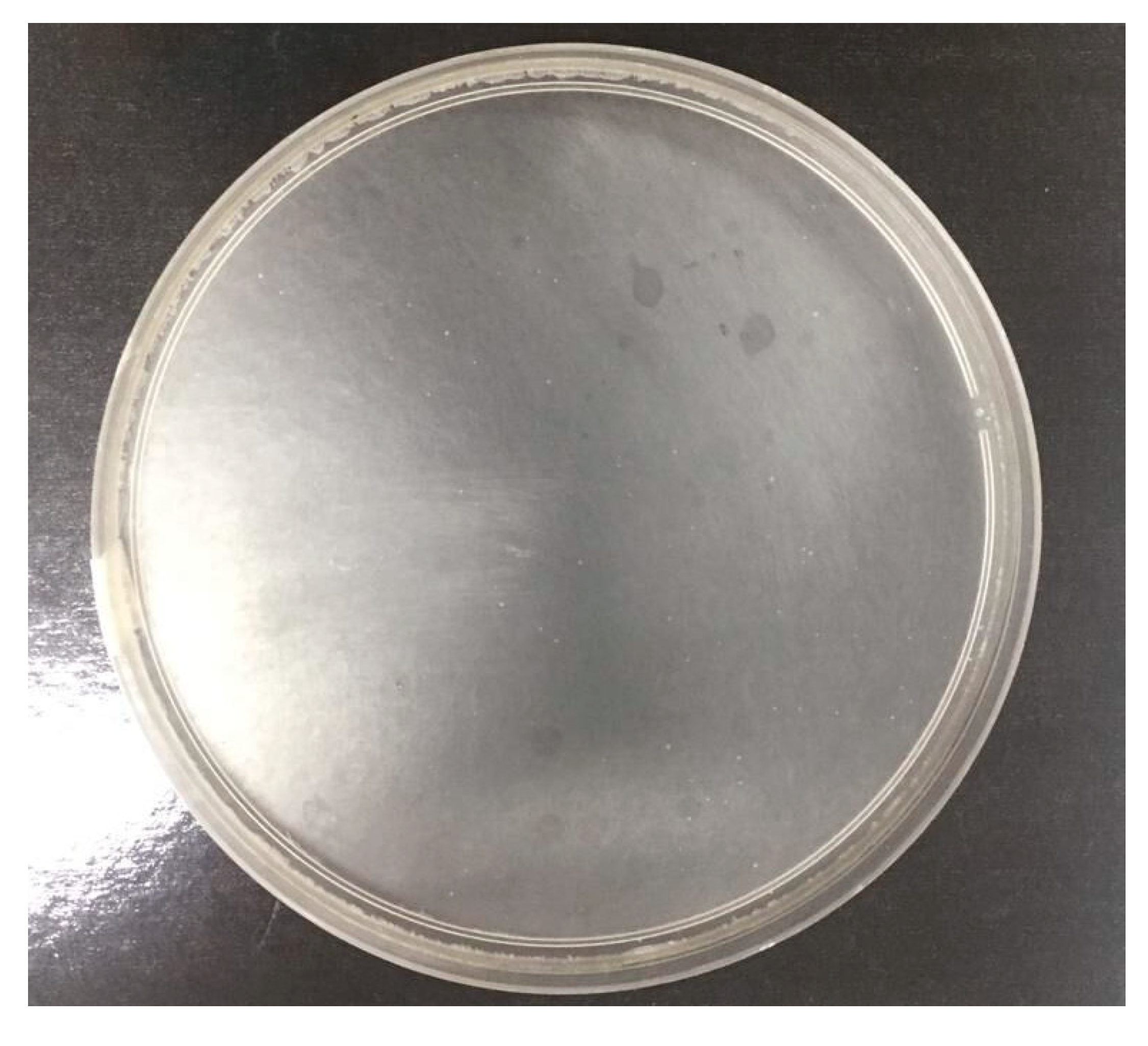 Polymers 11 00658 g004 550