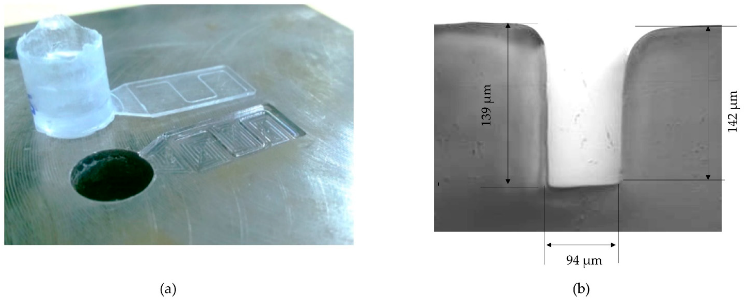 Polymers 11 00667 g010