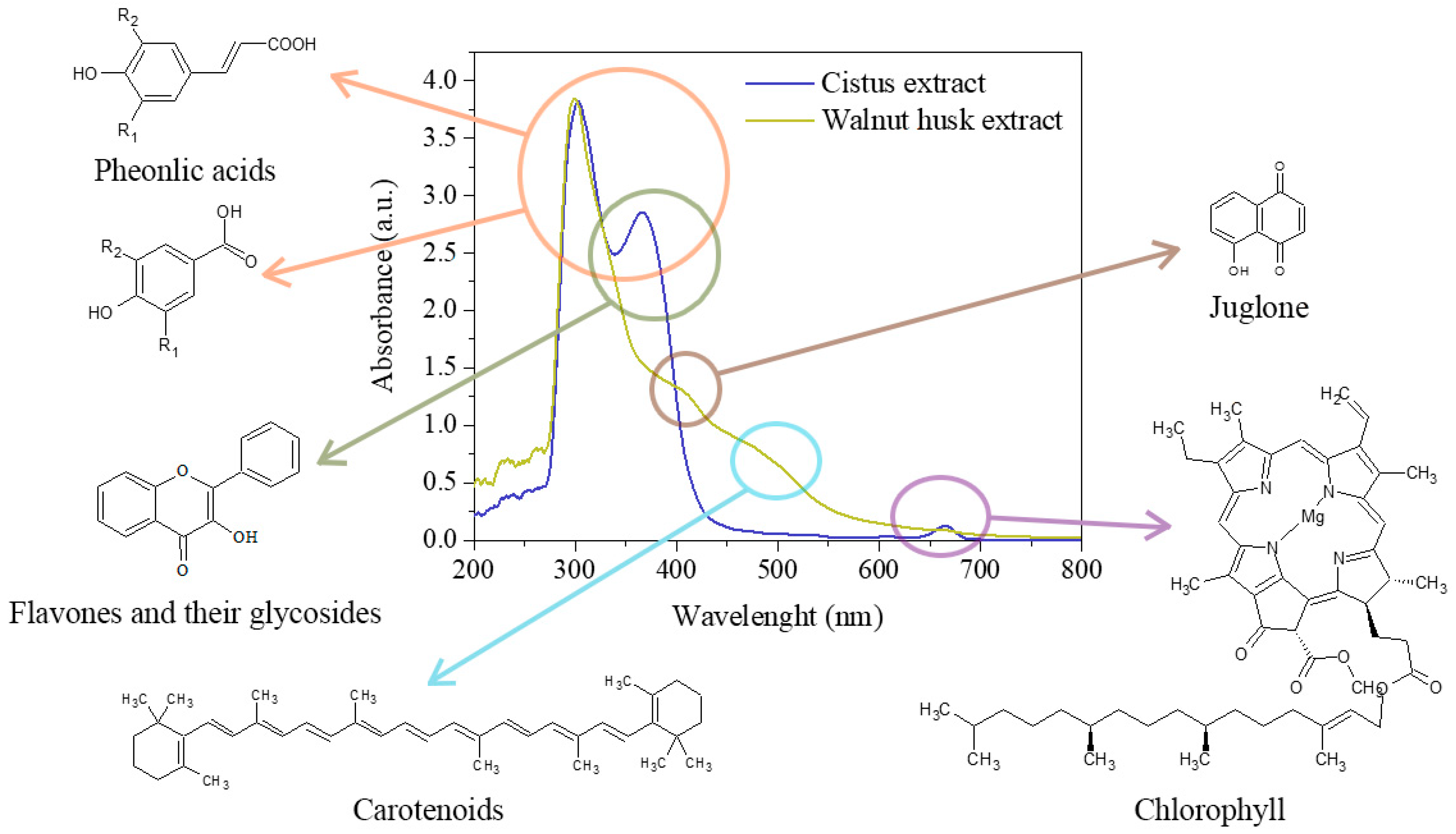 Polymers 11 00669 g003