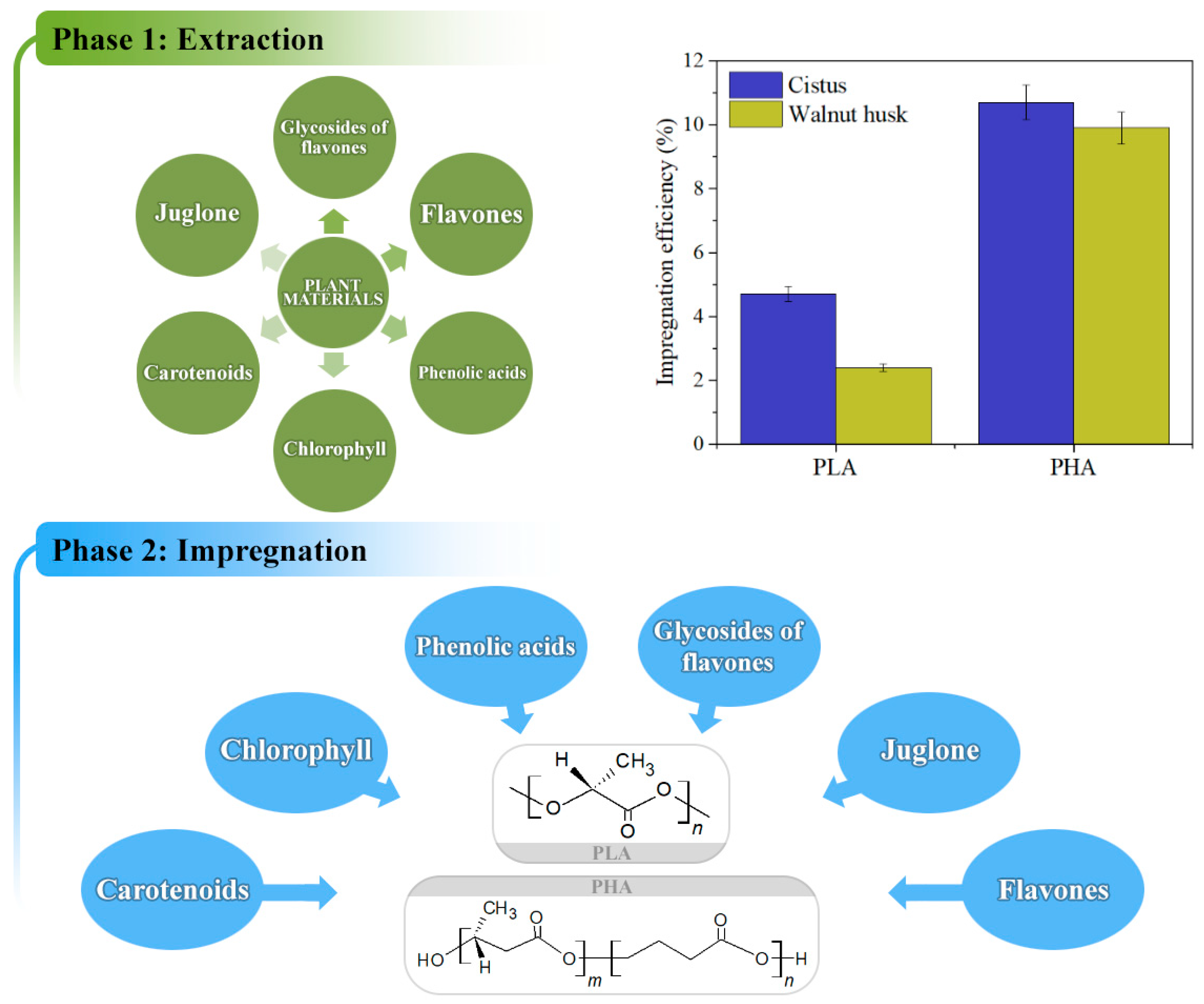 Polymers 11 00669 g004