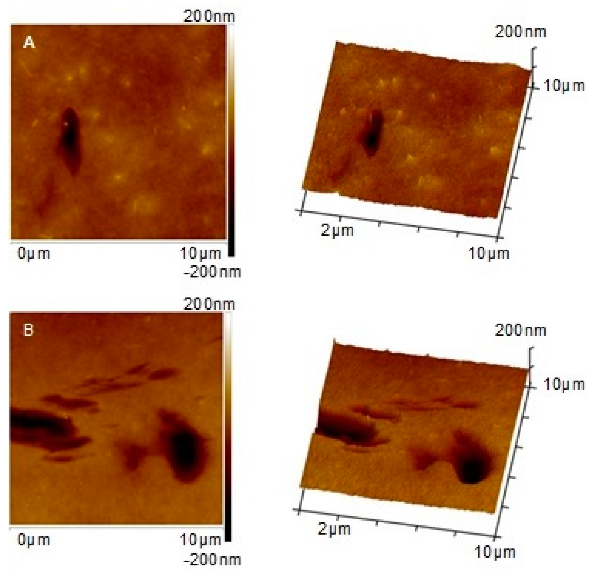 Polymers 11 00671 g008