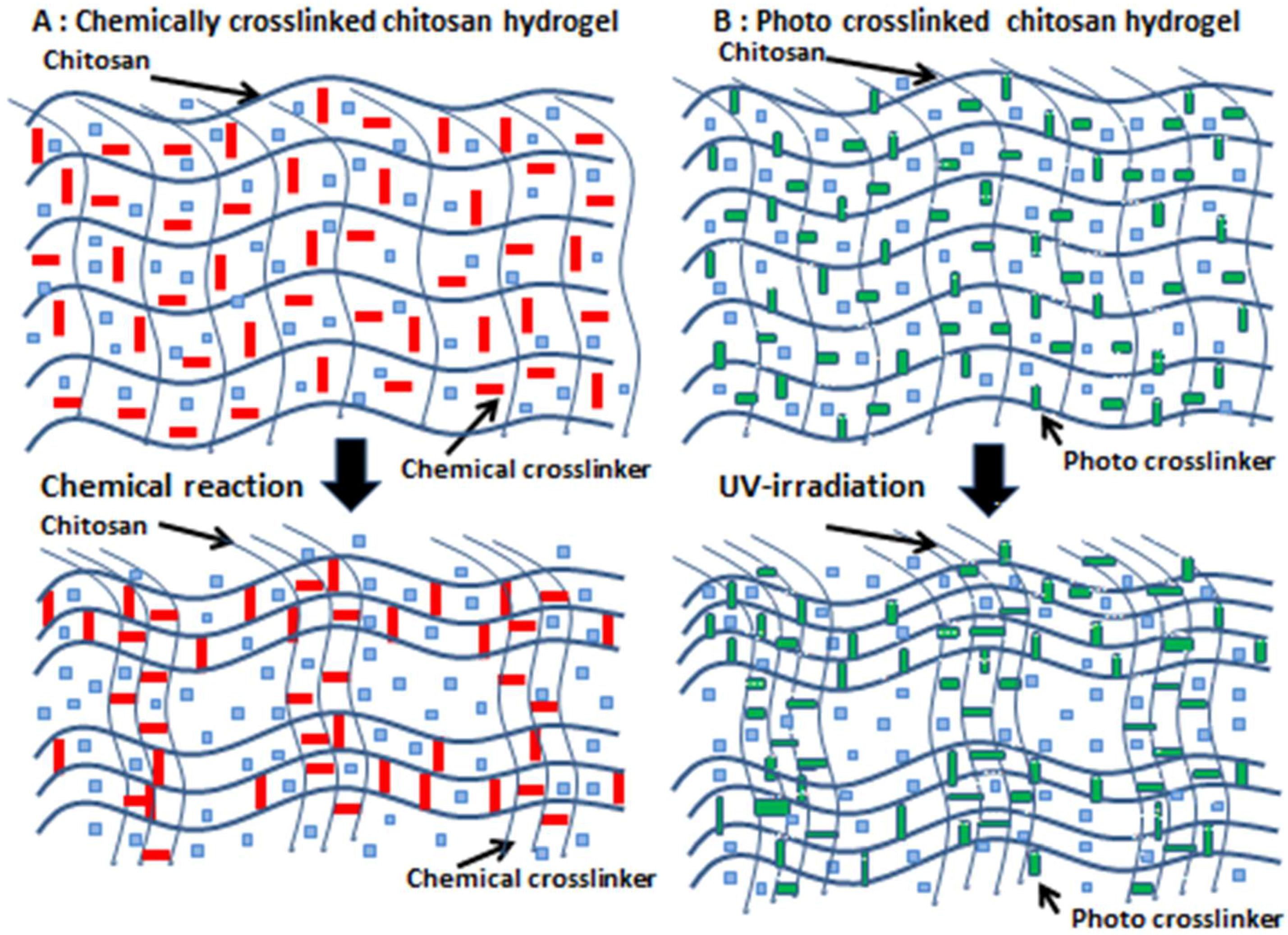 Polymers 11 00672 g001