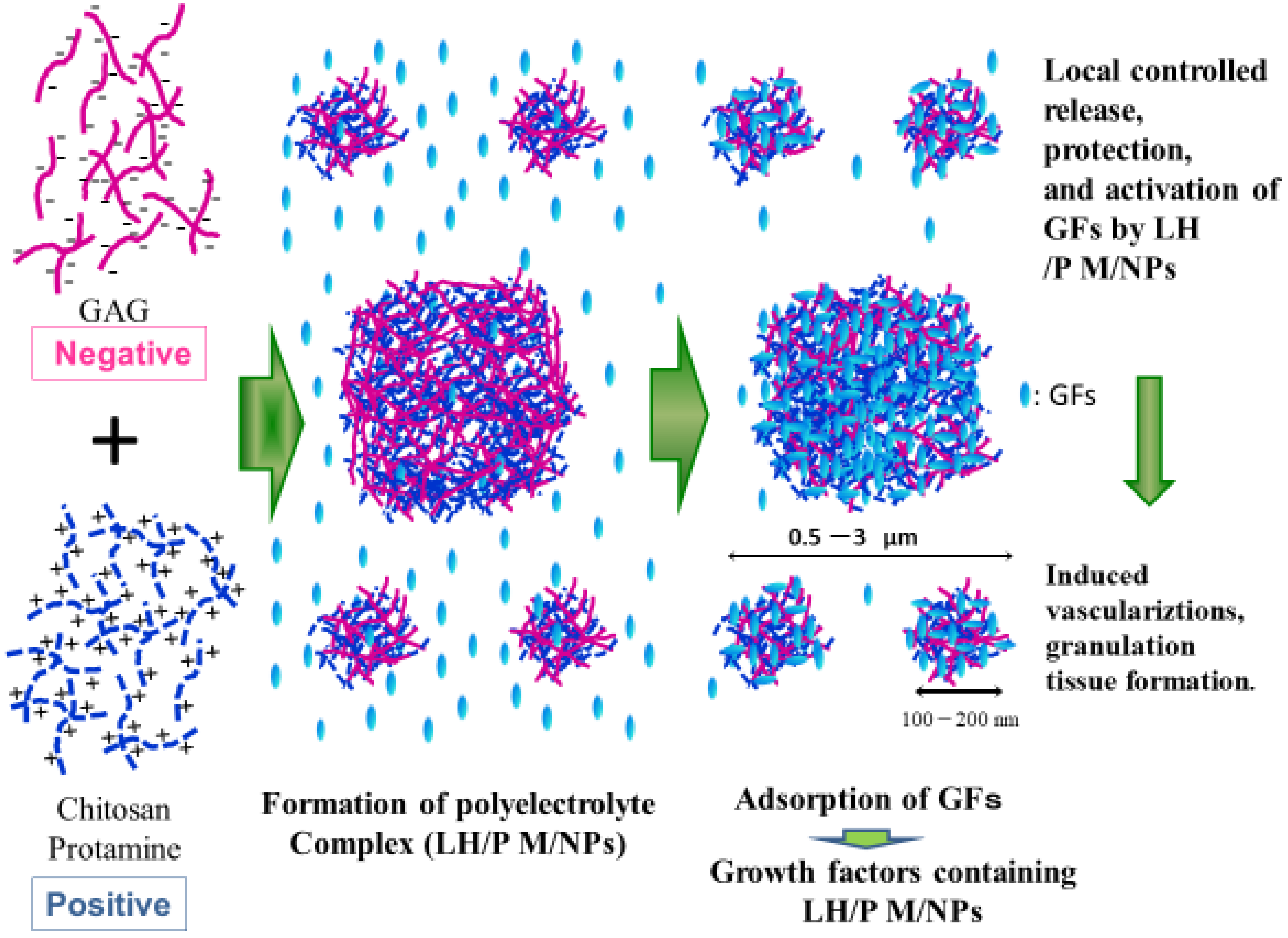 Polymers 11 00672 g004
