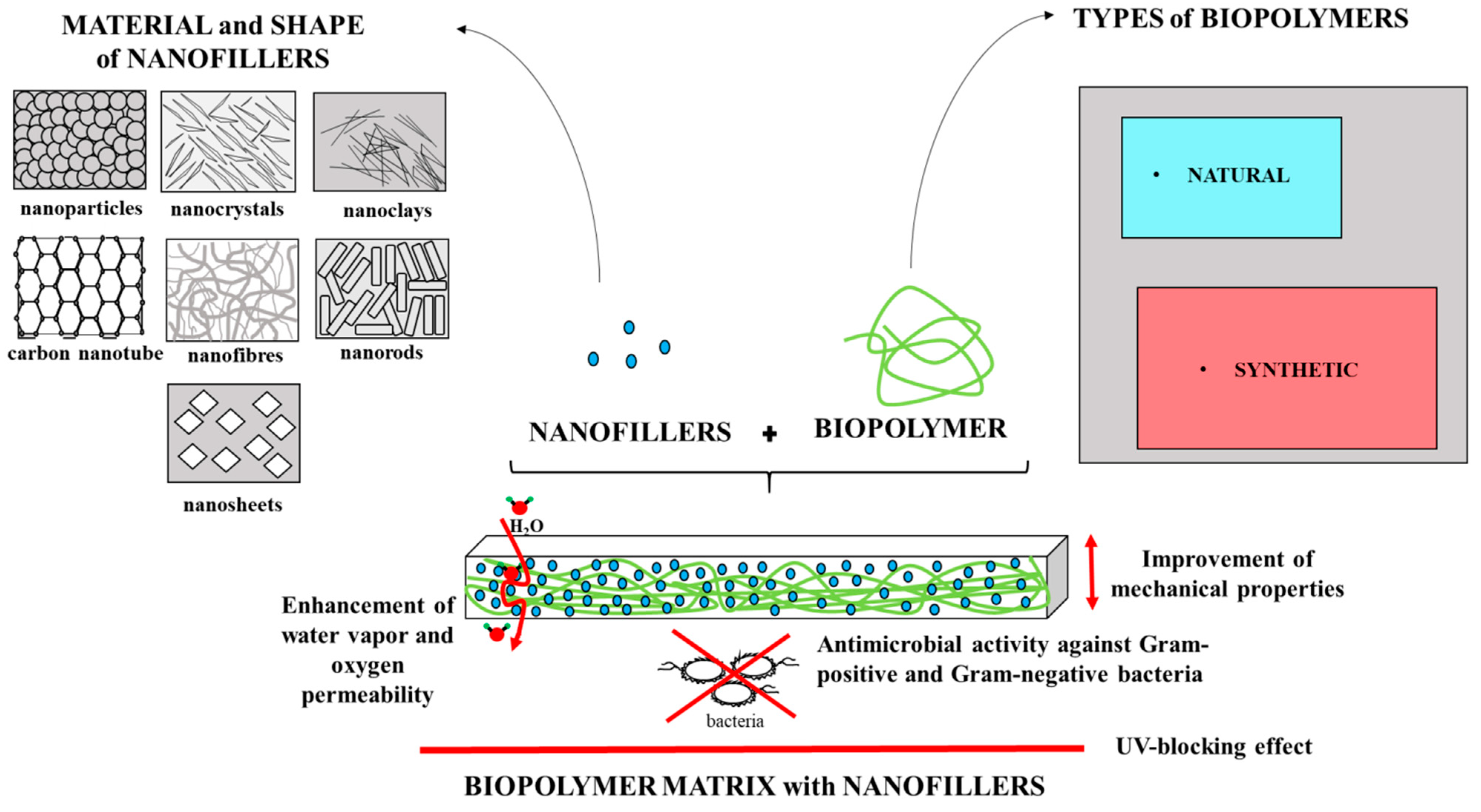 Polymers Free FullText The Effect of Nanofillers on the Functional