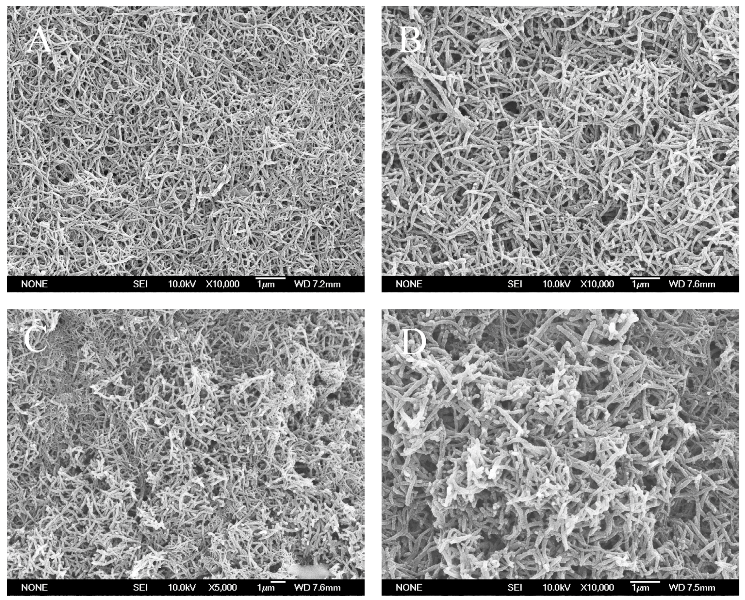 Polymers 11 00681 g004