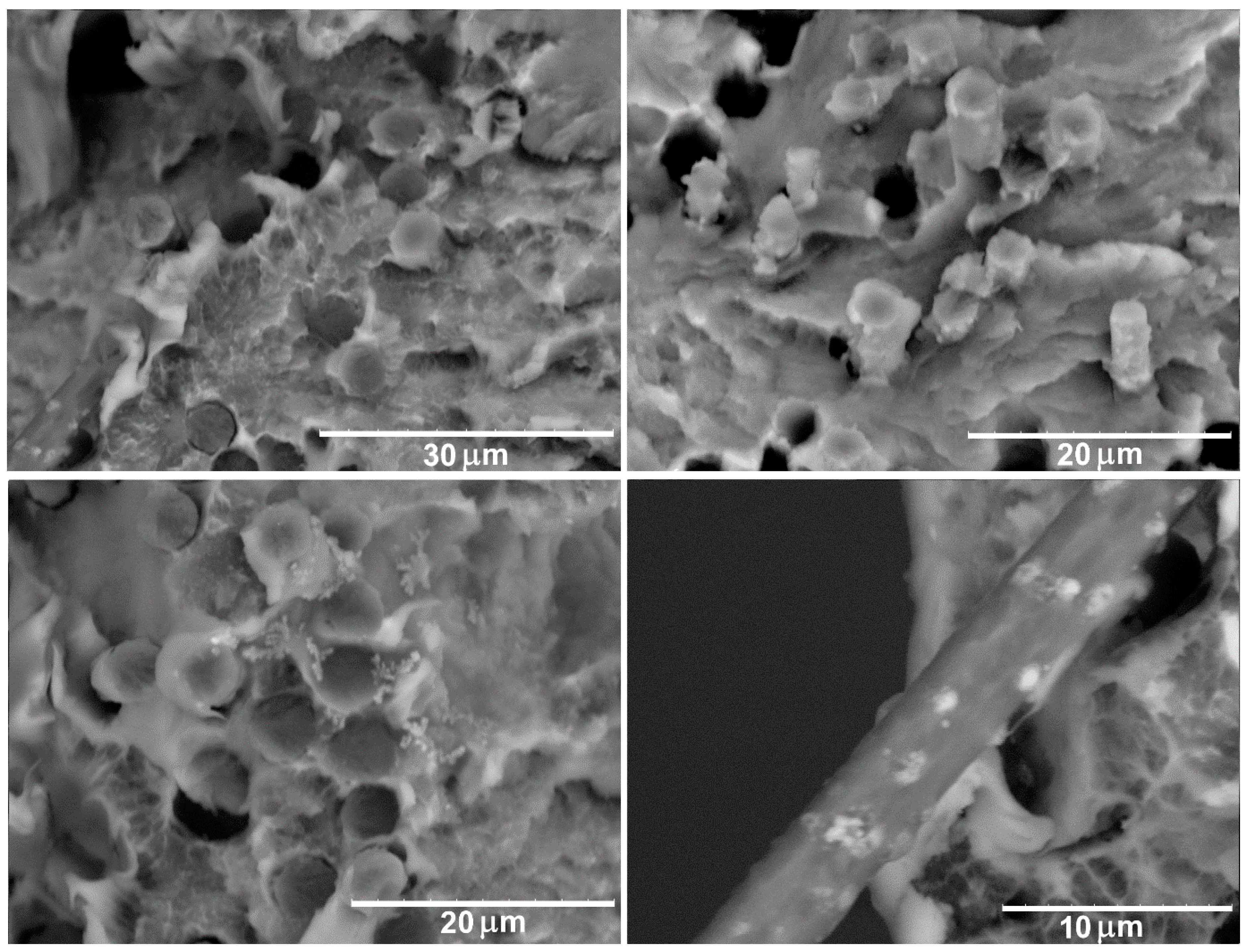 Polymers 11 00684 g006 550