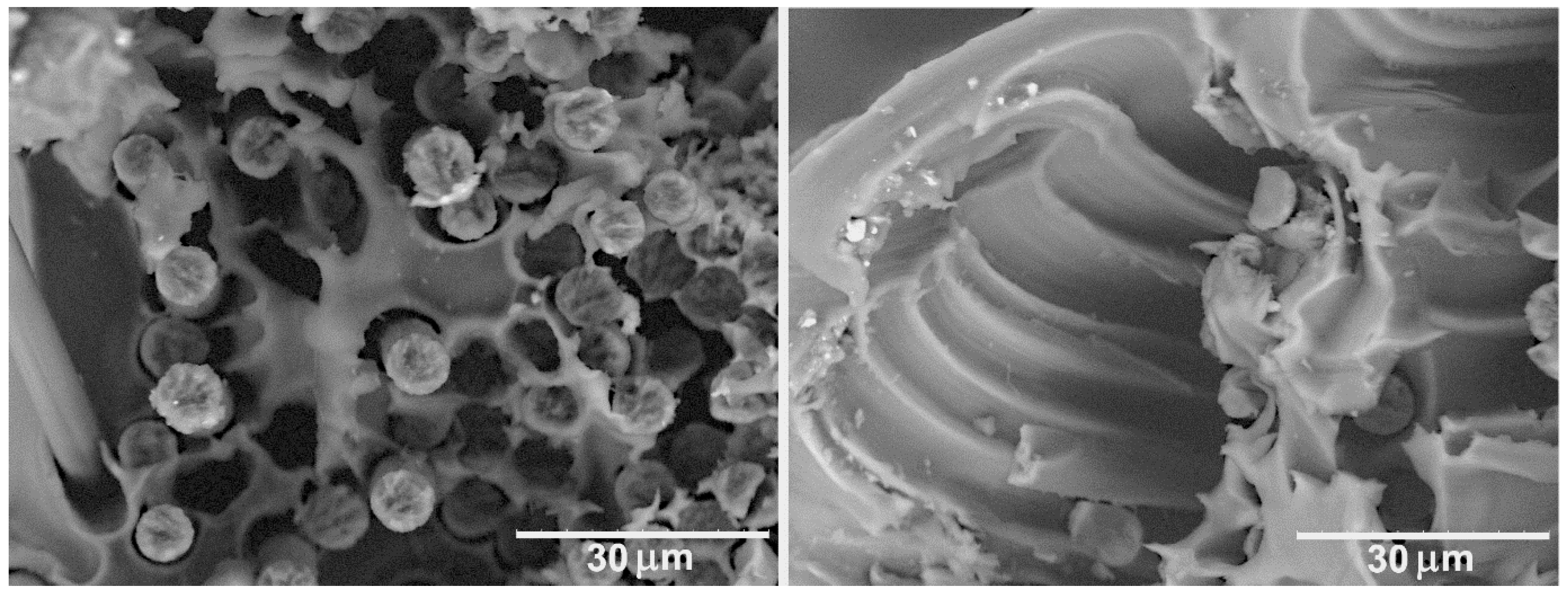 Polymers 11 00684 g007 550