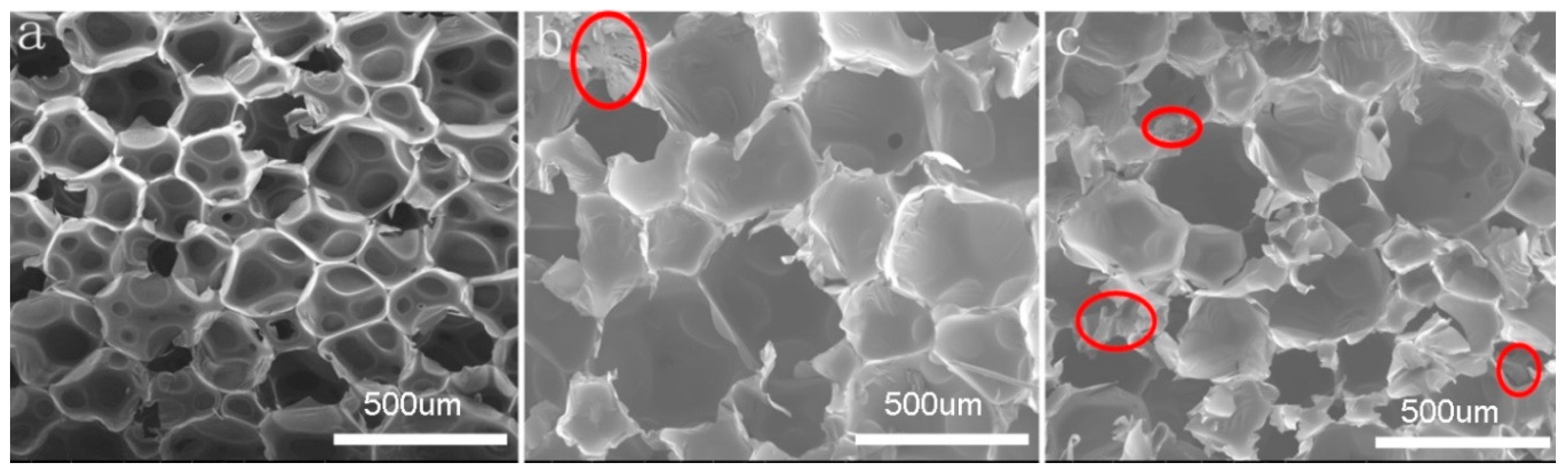 Polymers 11 00686 g002