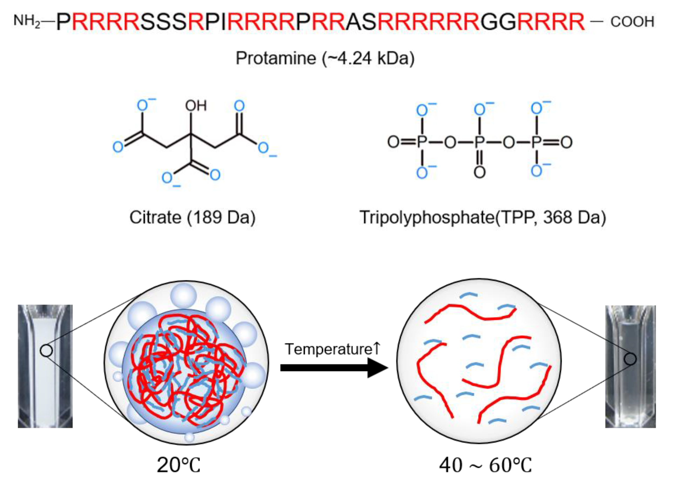 Polymers 11 00691 g001