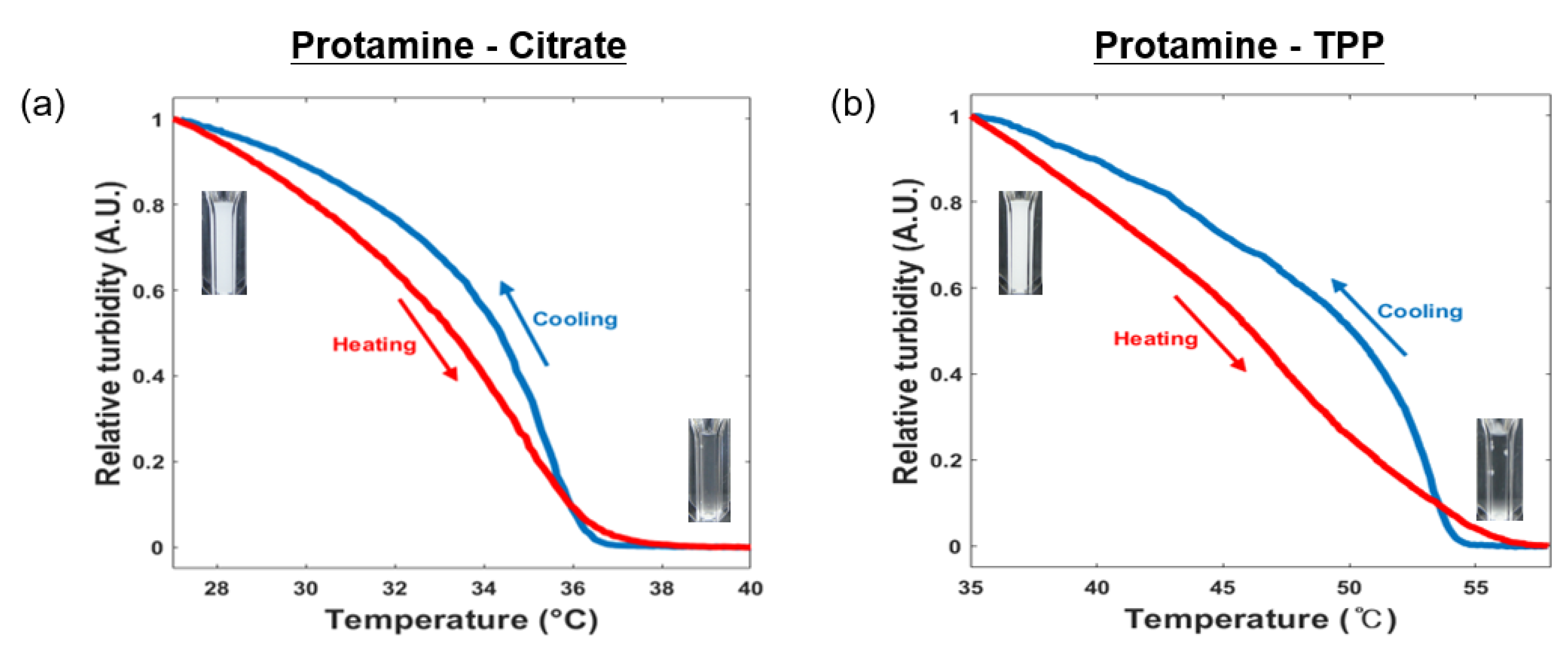 Polymers 11 00691 g003