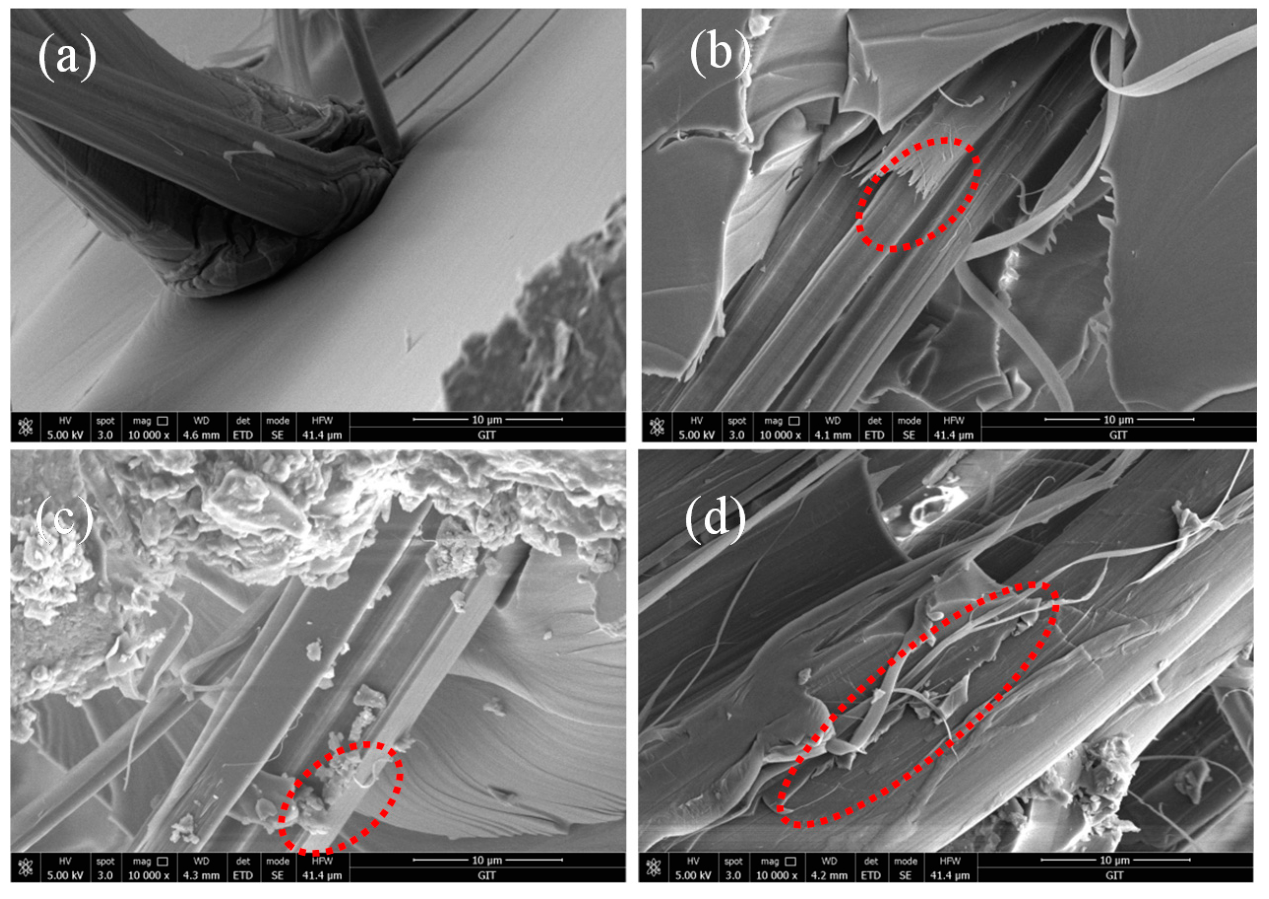 Polymers 11 00700 g015