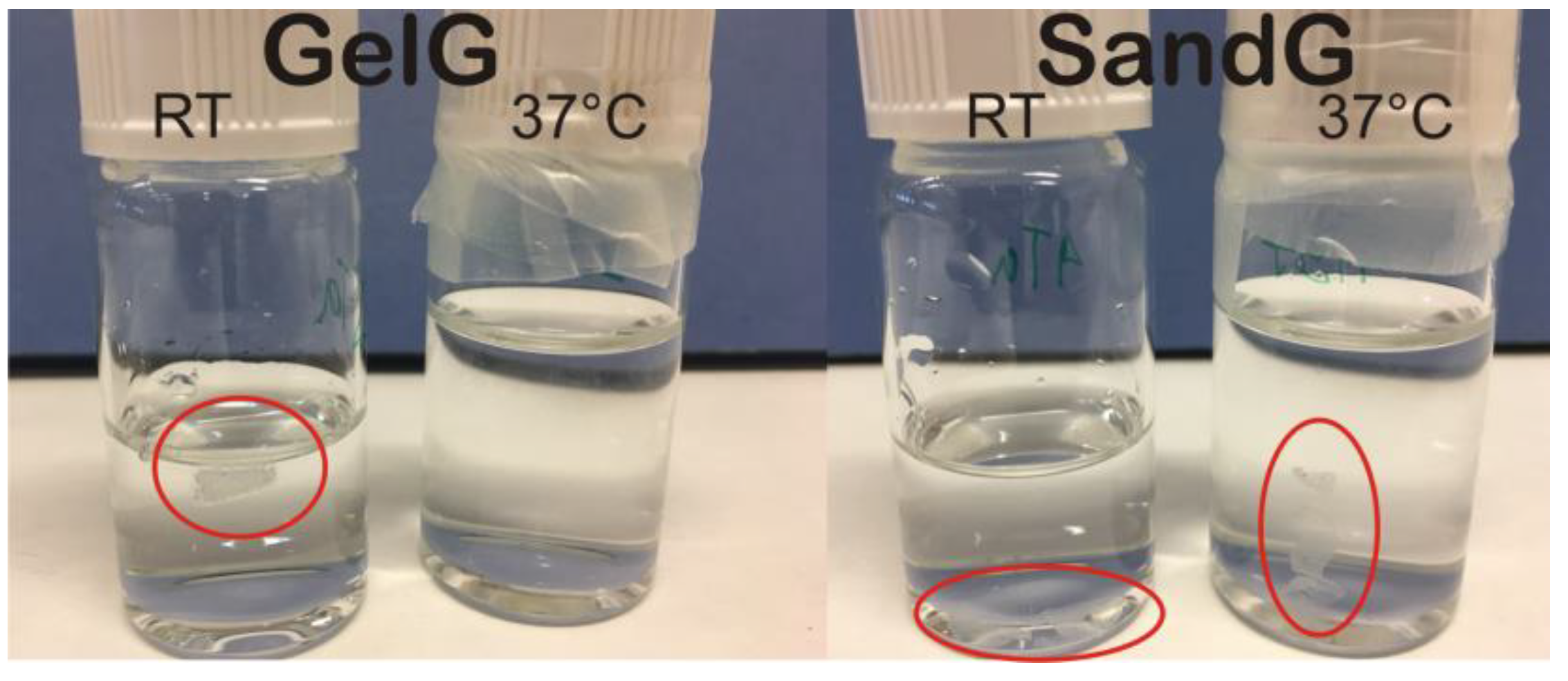 Polymers 11 00702 g006