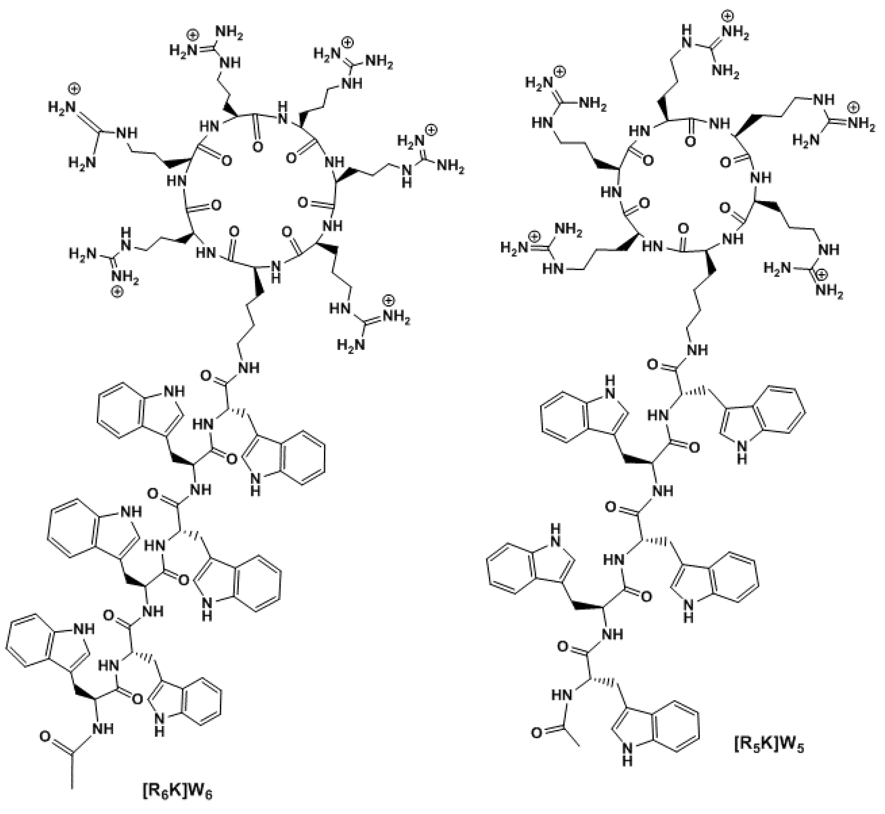 Polymers 11 00703 g002